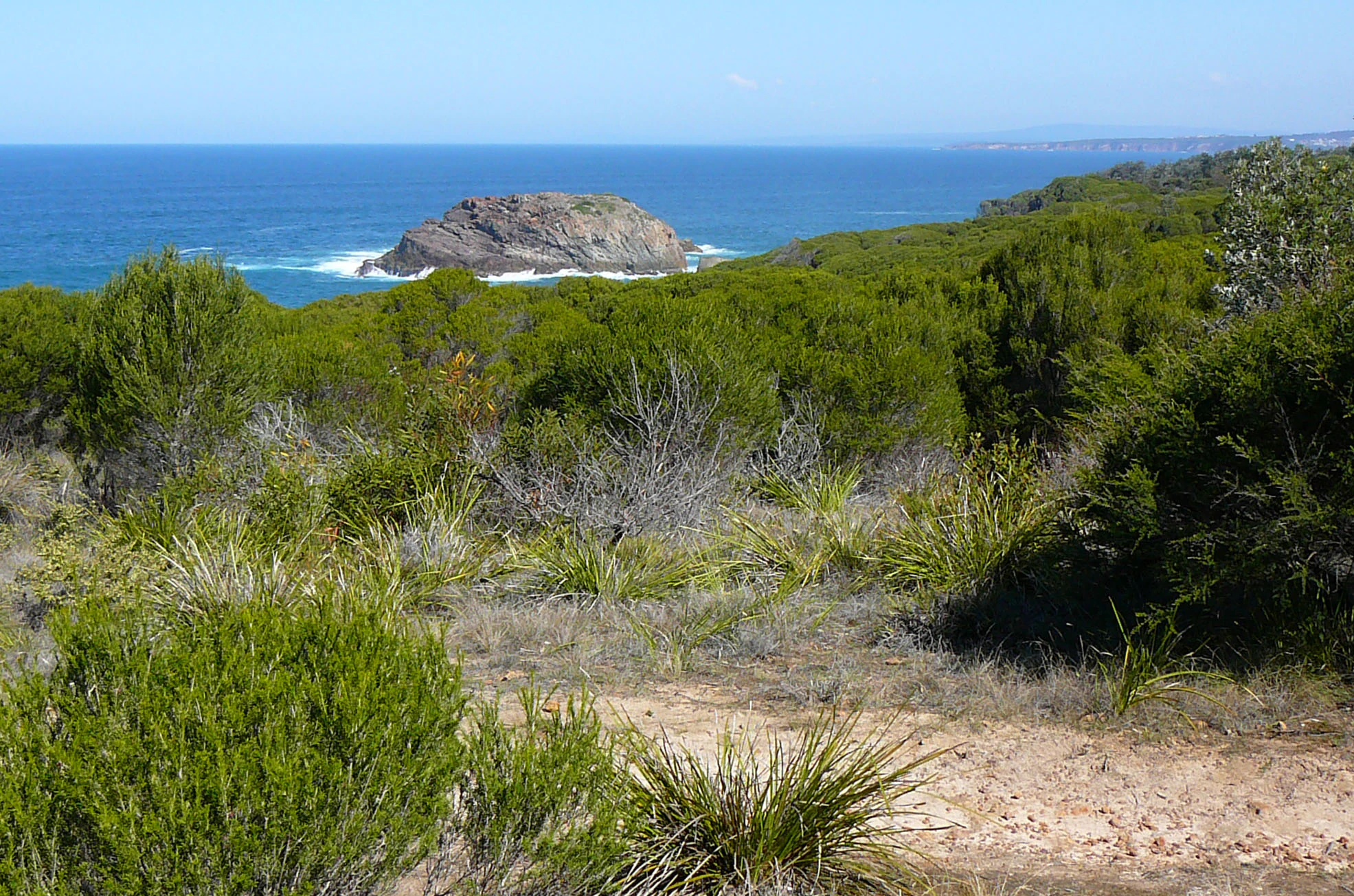 Coastal landscape with Bournda Island in the ocean, surrounded by green vegetation and a dirt path.