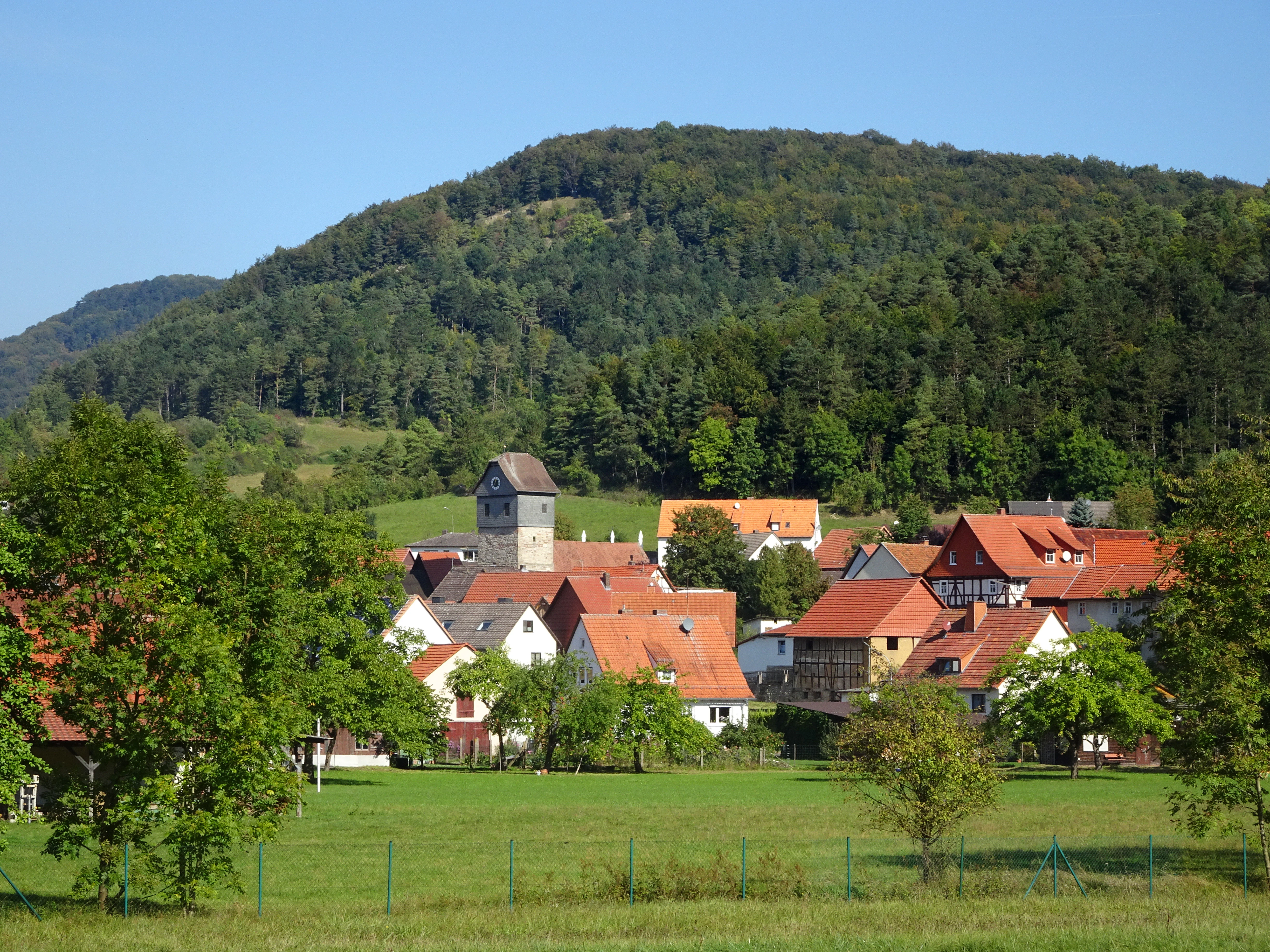 A wide view of the village of Breitau, Germany, with traditional houses featuring red tiled roofs in the foreground and a dense, forested hill rising behind the village under a clear blue sky.