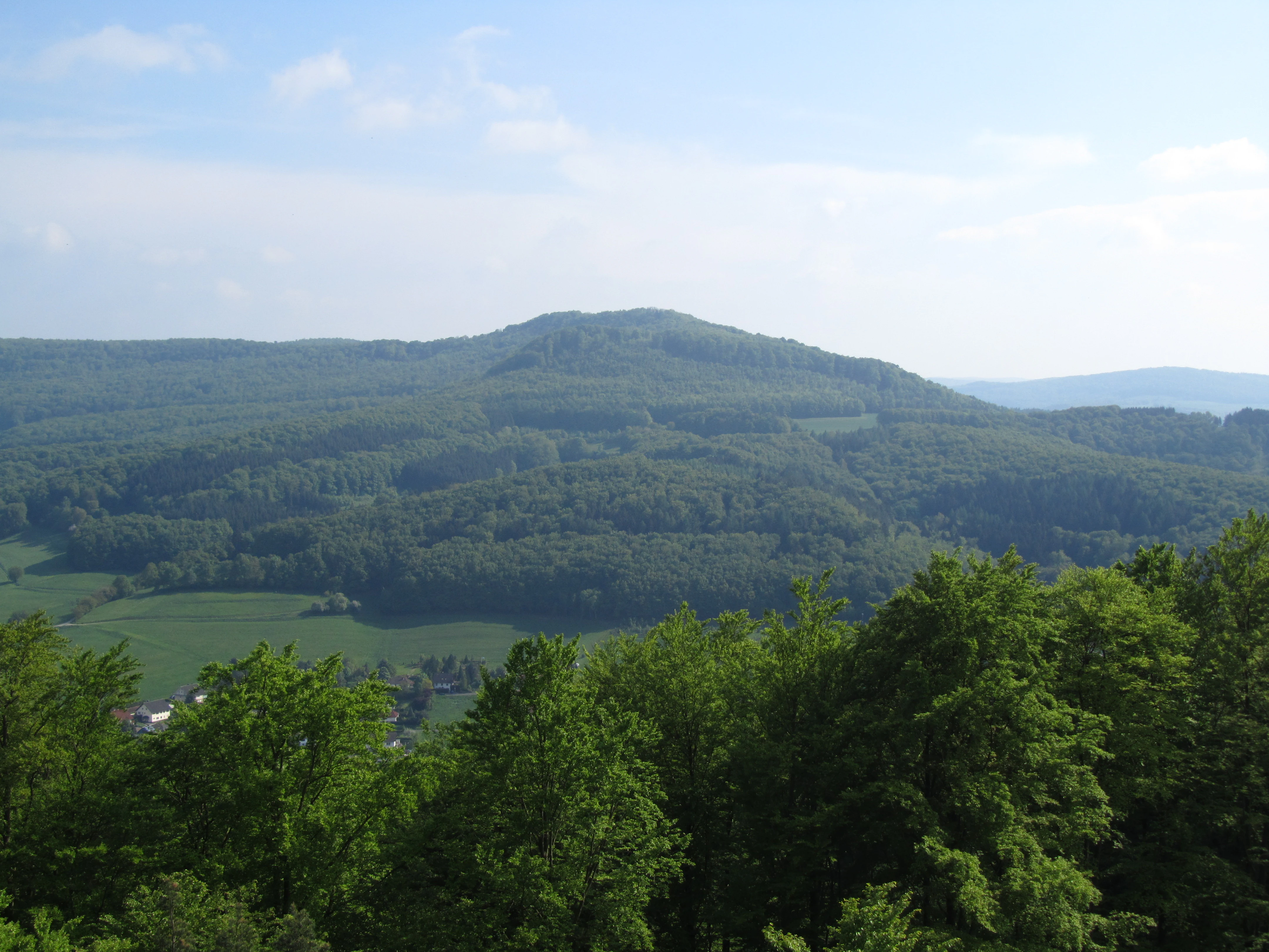 A wide, eye-level landscape view of a green, forested hill called Boyneburg, with a foreground of deciduous tree canopies and open green fields at the base of the mountain under a light blue sky.