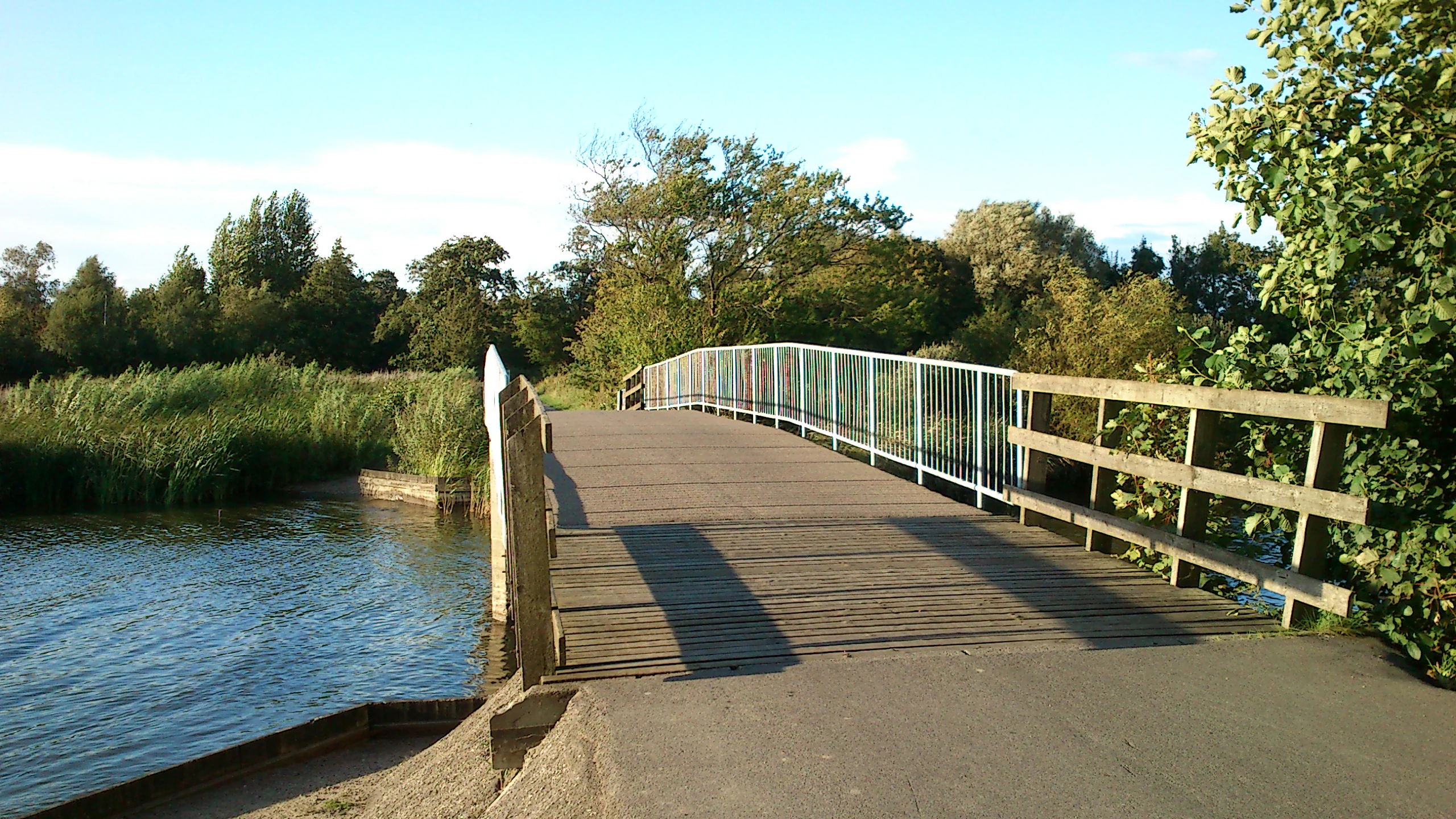A wooden bridge with white metal railings extends over a body of water, flanked by green reeds and trees under a blue sky.