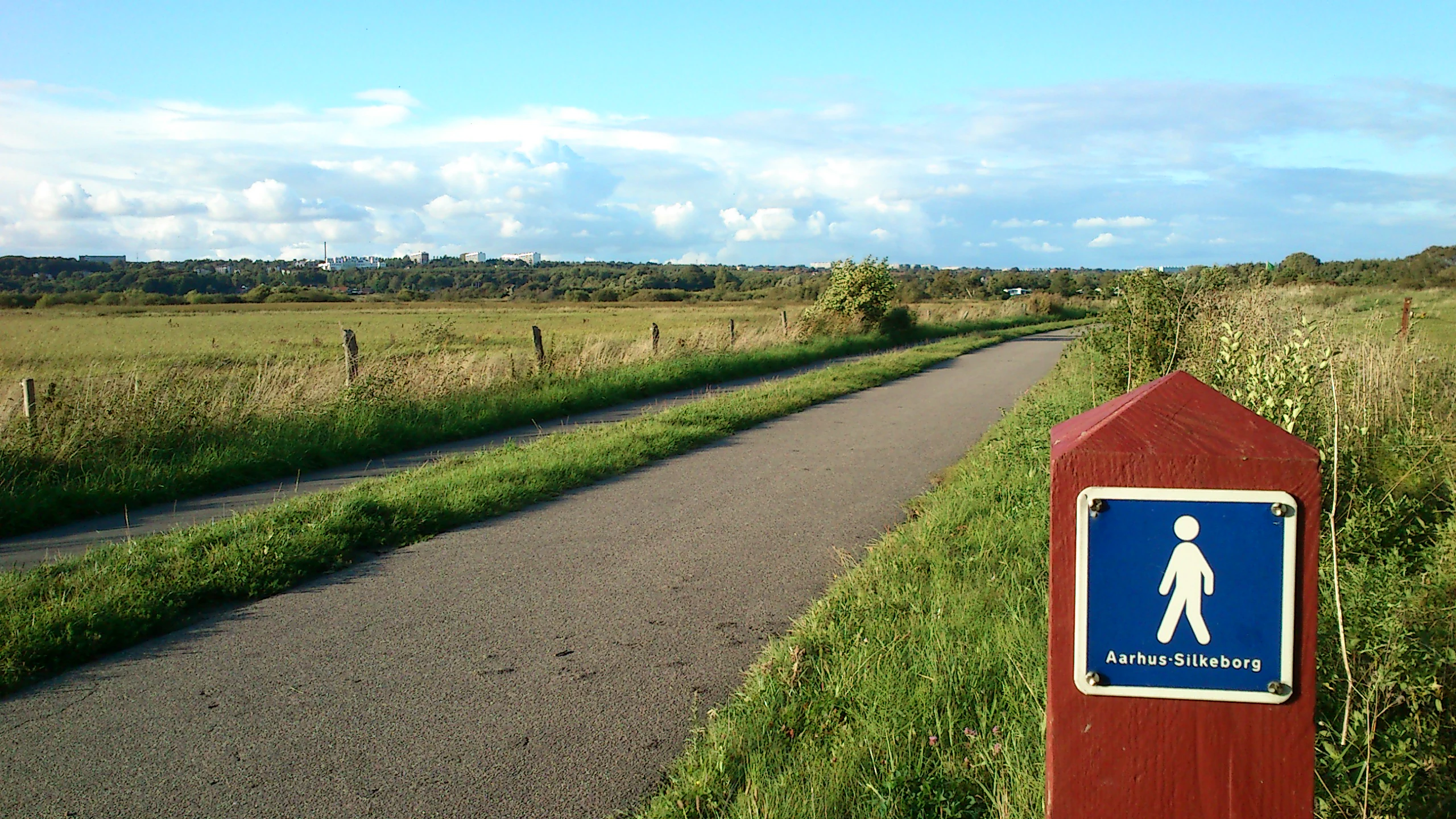 A paved bicycle and pedestrian path curving slightly into the distance through a flat grassy landscape, with a red wooden signpost in the foreground displaying a blue square sign with a white walking figure and the text 'Aarhus-Silkeborg'.