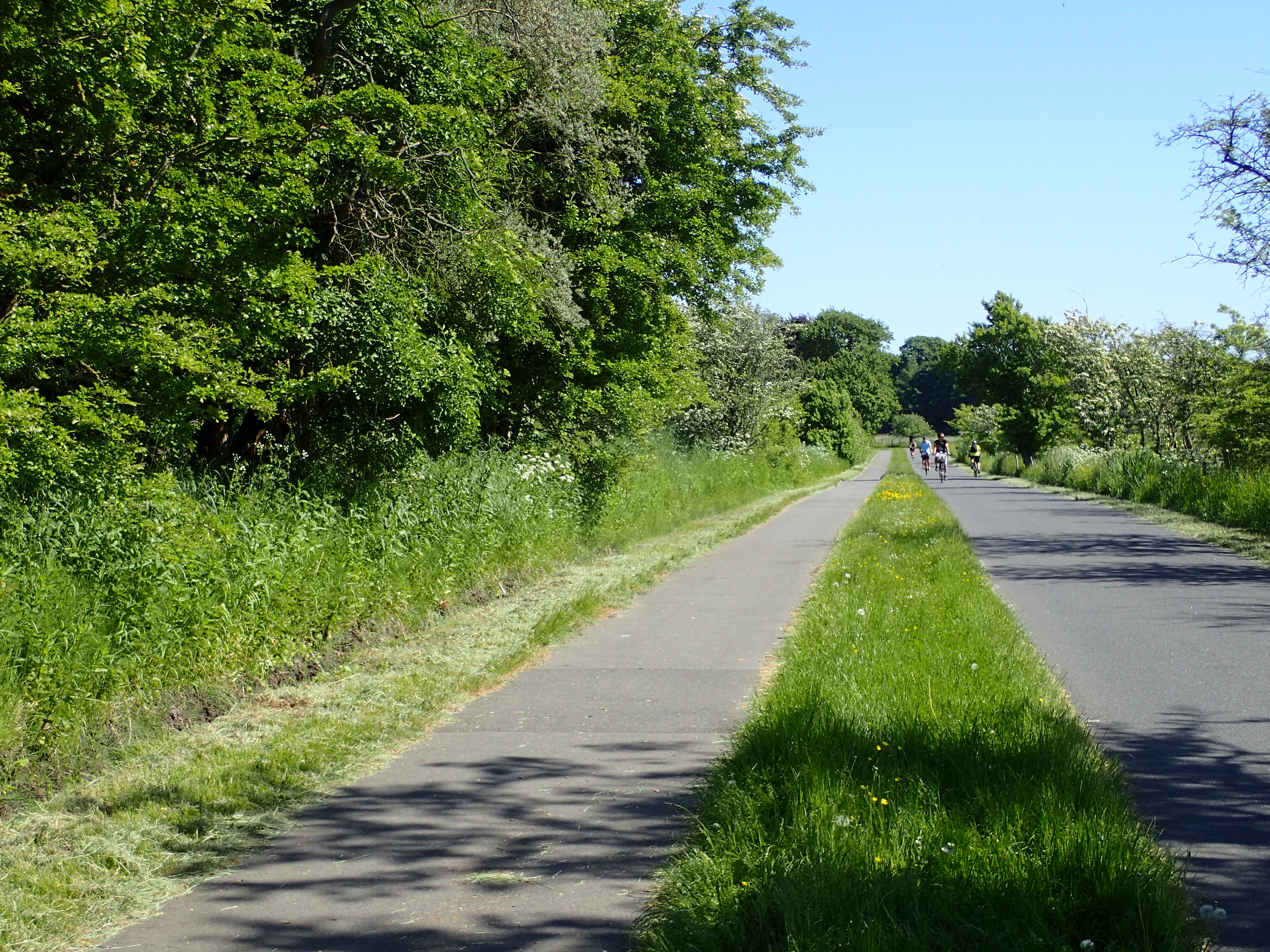 A paved path divided by a strip of green grass, bordered by lush green trees and vegetation on the left, with a few people visible in the distance on the right side of the path.
