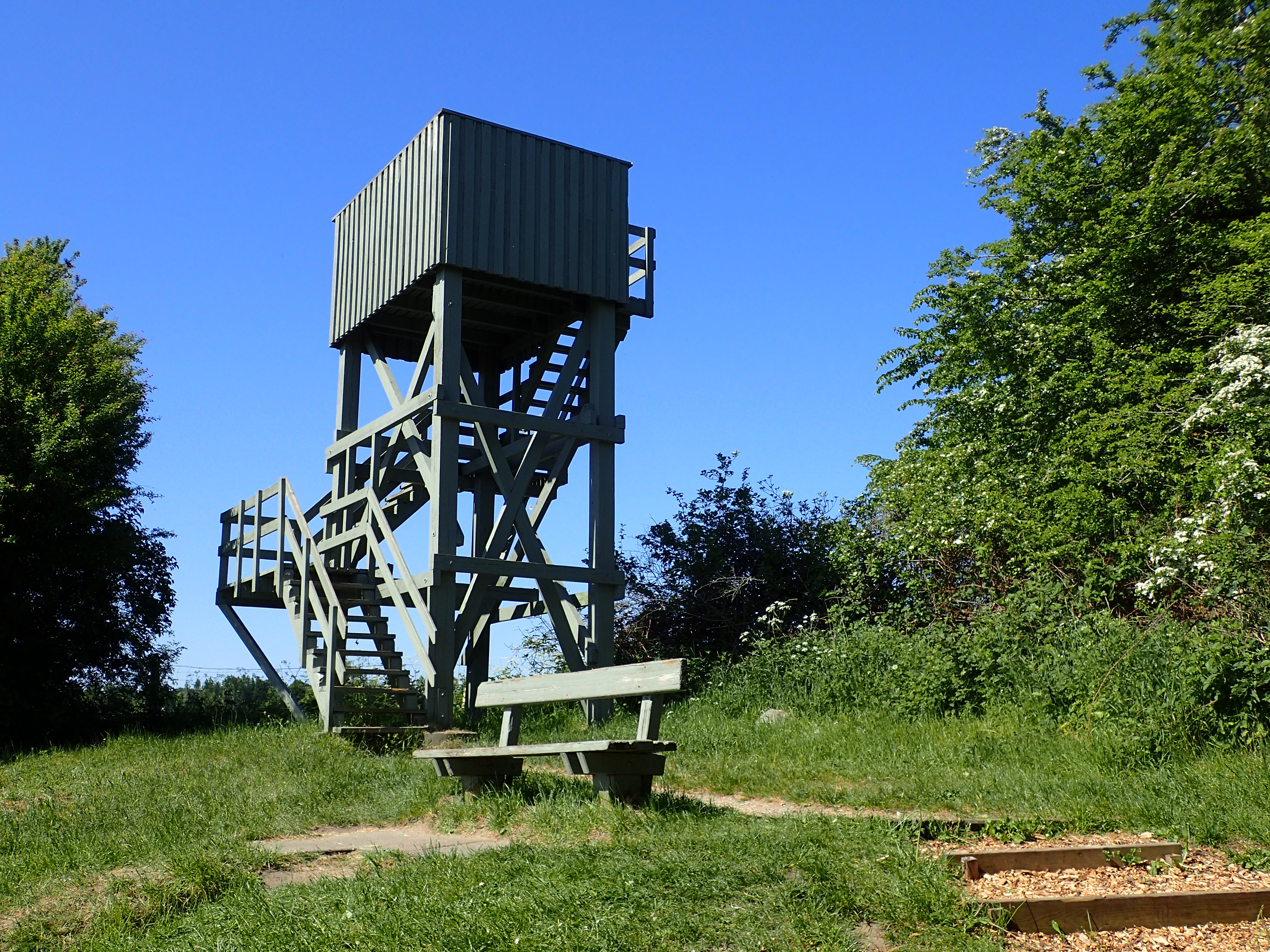 A tall wooden bird observation tower with a box-like cabin elevated on stilts and accessed by wooden stairs, with a bench in the foreground, surrounded by green grass and trees under a clear blue sky