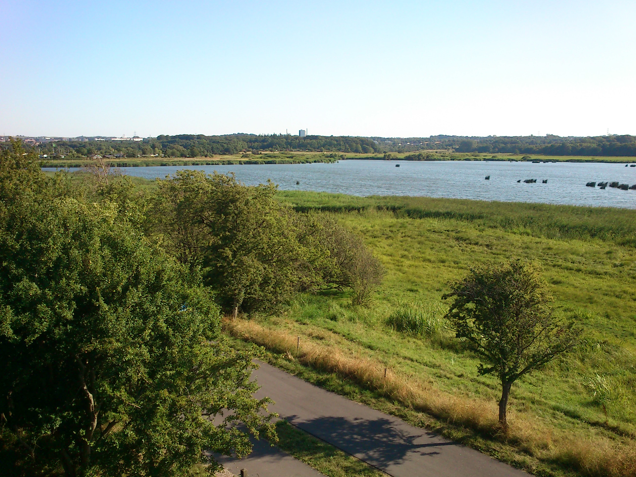 A paved path runs through green meadowland toward Brabrand Sø lake, with trees in the foreground and a distant treeline on the far shore under a clear blue sky
