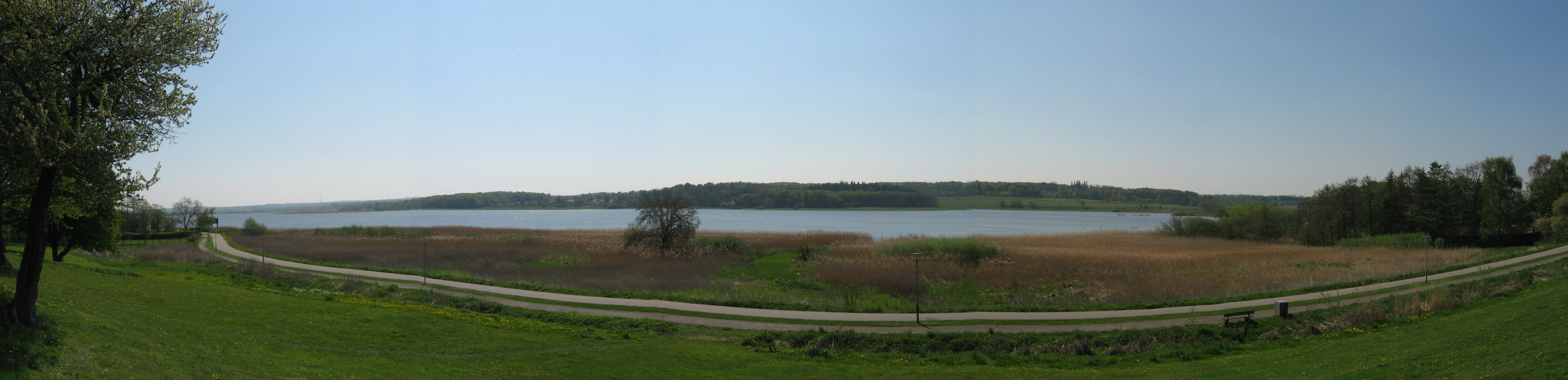 A wide panoramic photograph showing Brabrand Lake with a curved path along the shoreline, green grass in the foreground, trees on both sides, and a treeline on the far shore under a clear blue sky