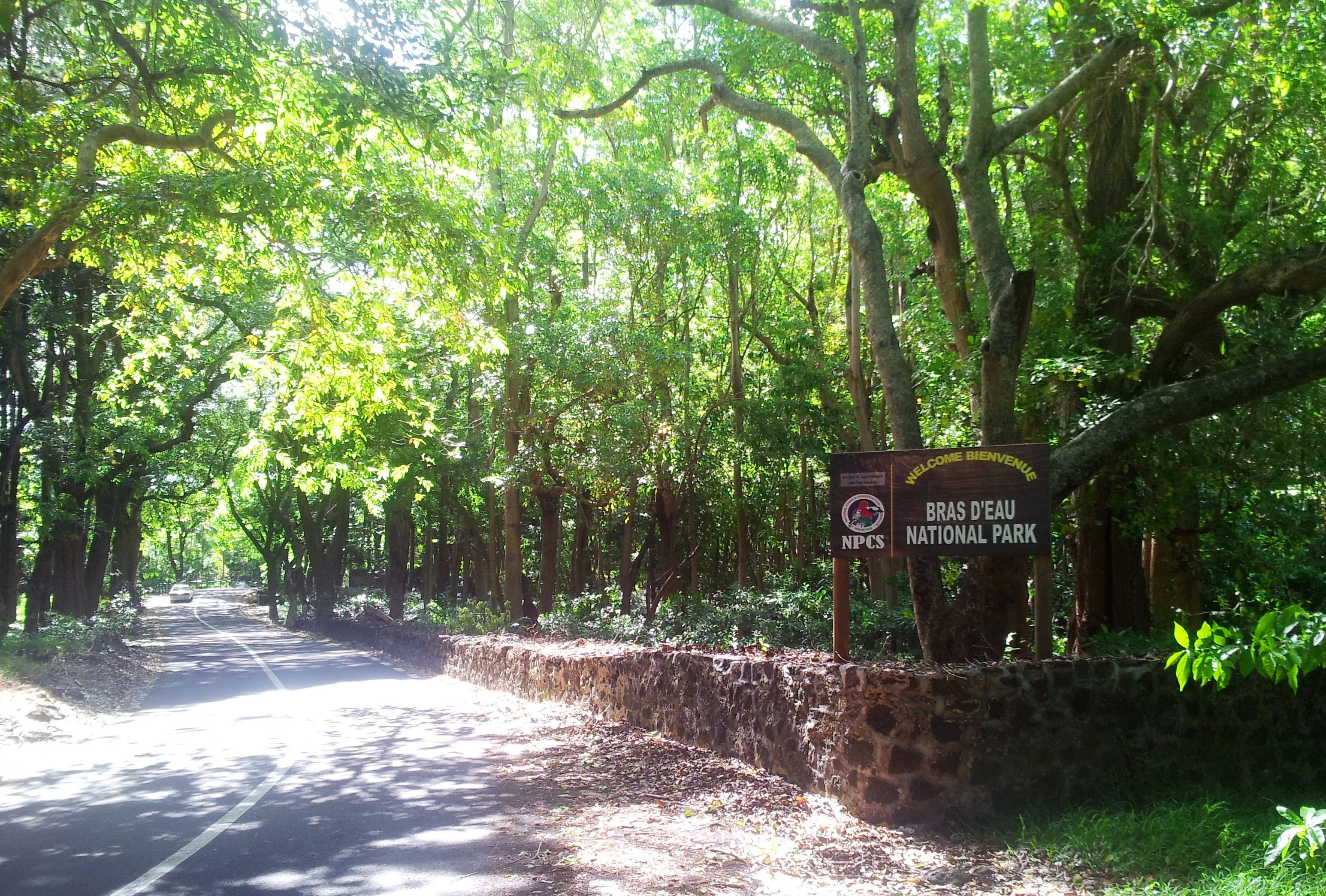 Paved road leading into Bras d'Eau National Park, featuring a stone wall and entrance sign surrounded by dense green trees