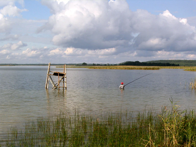 A lake with a wooden fishing platform, tall grass in the foreground, and a person fishing at a distance under a partly cloudy sky.