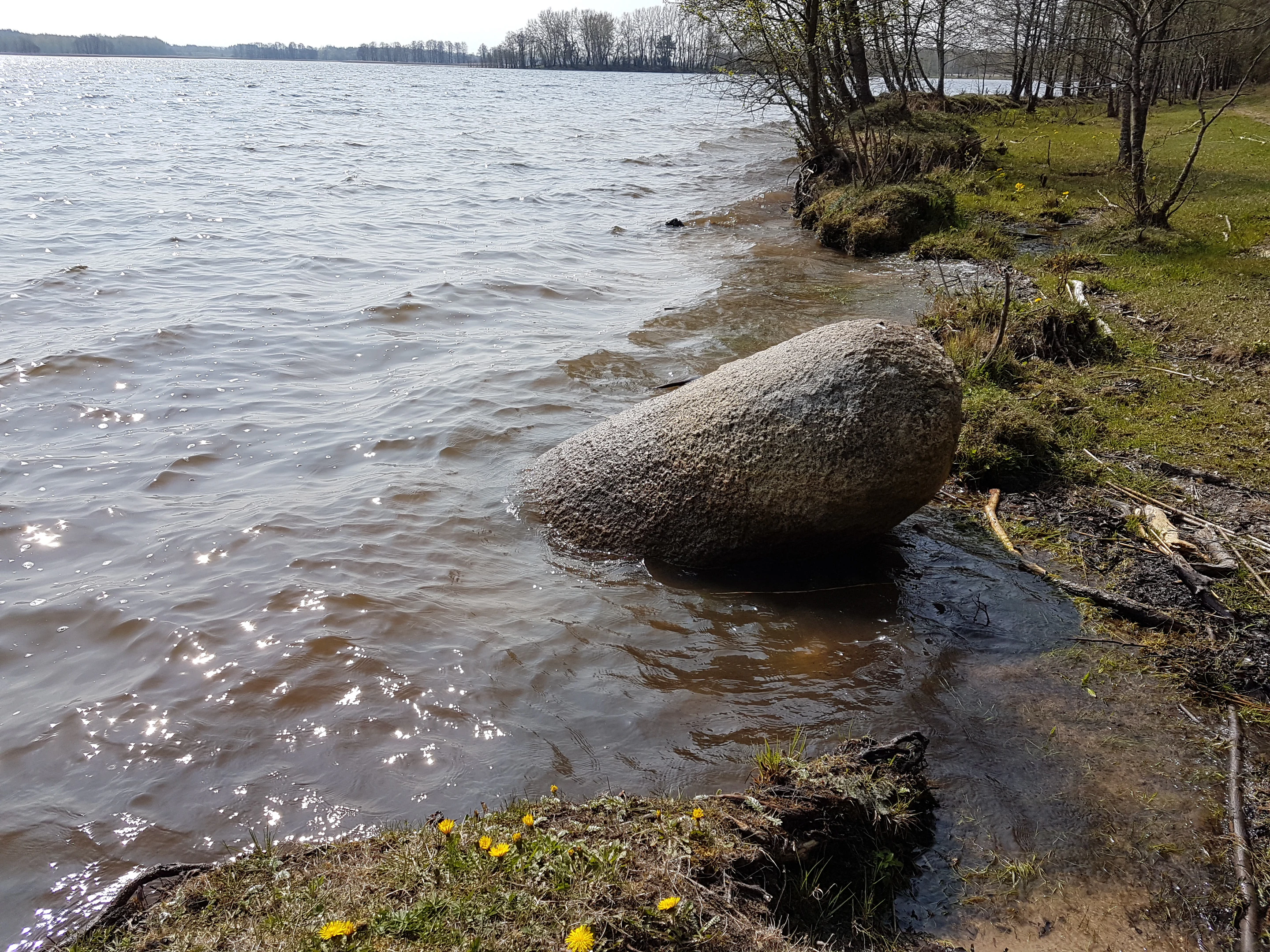 Large boulder partially submerged in a lake with gentle waves, grassy shore, and trees in the background