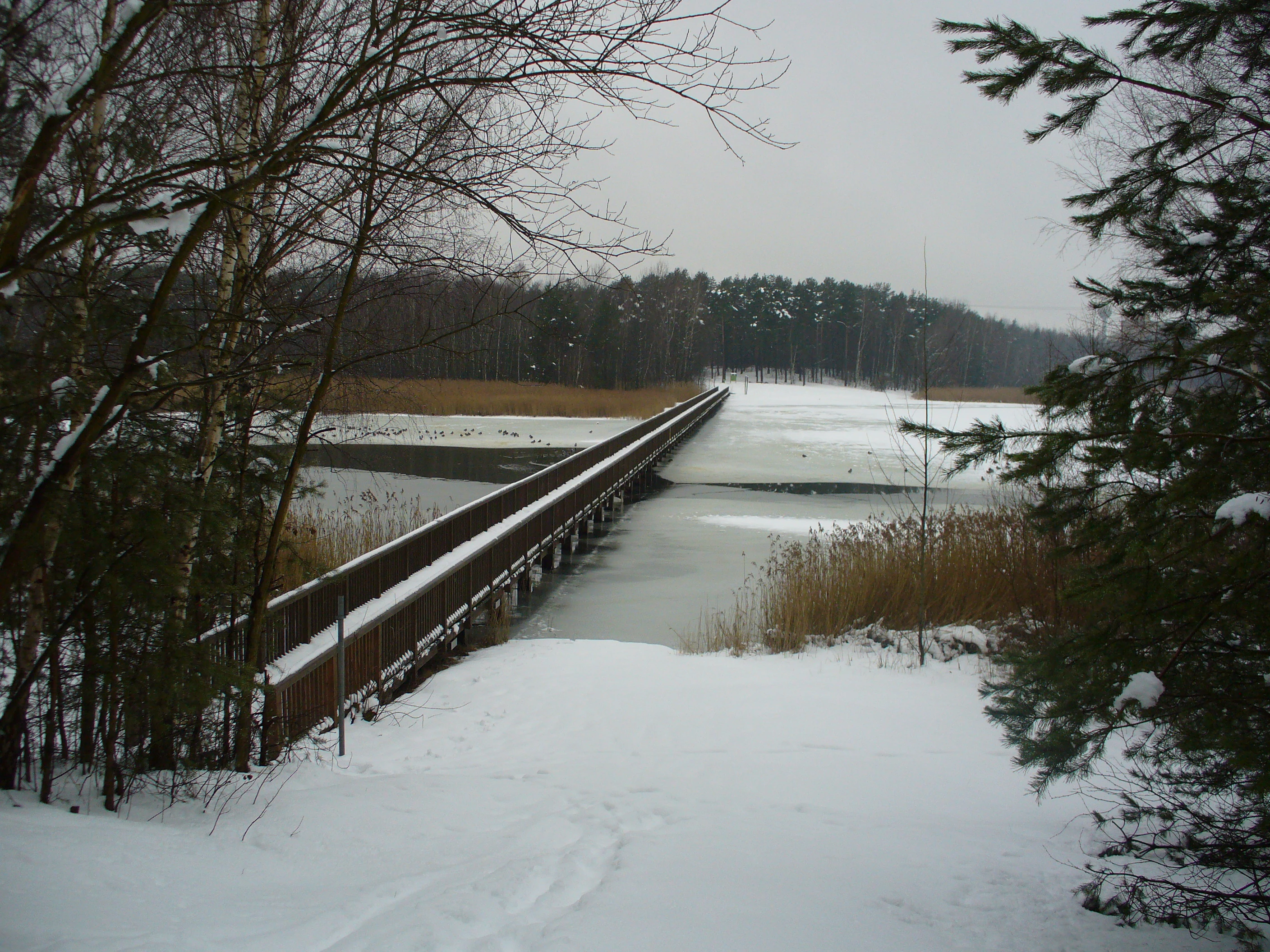 A long, narrow wooden bridge crosses a partially frozen body of water surrounded by snow-covered banks and pine forest under a grey sky.
