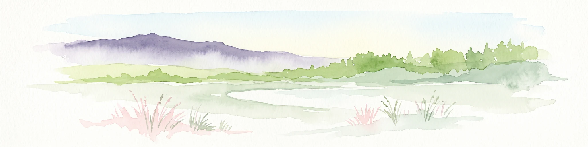 A wide watercolor illustration showing a purple mountain in the distance, a line of green trees, a body of water, and pinkish plants in the foreground on a white background.