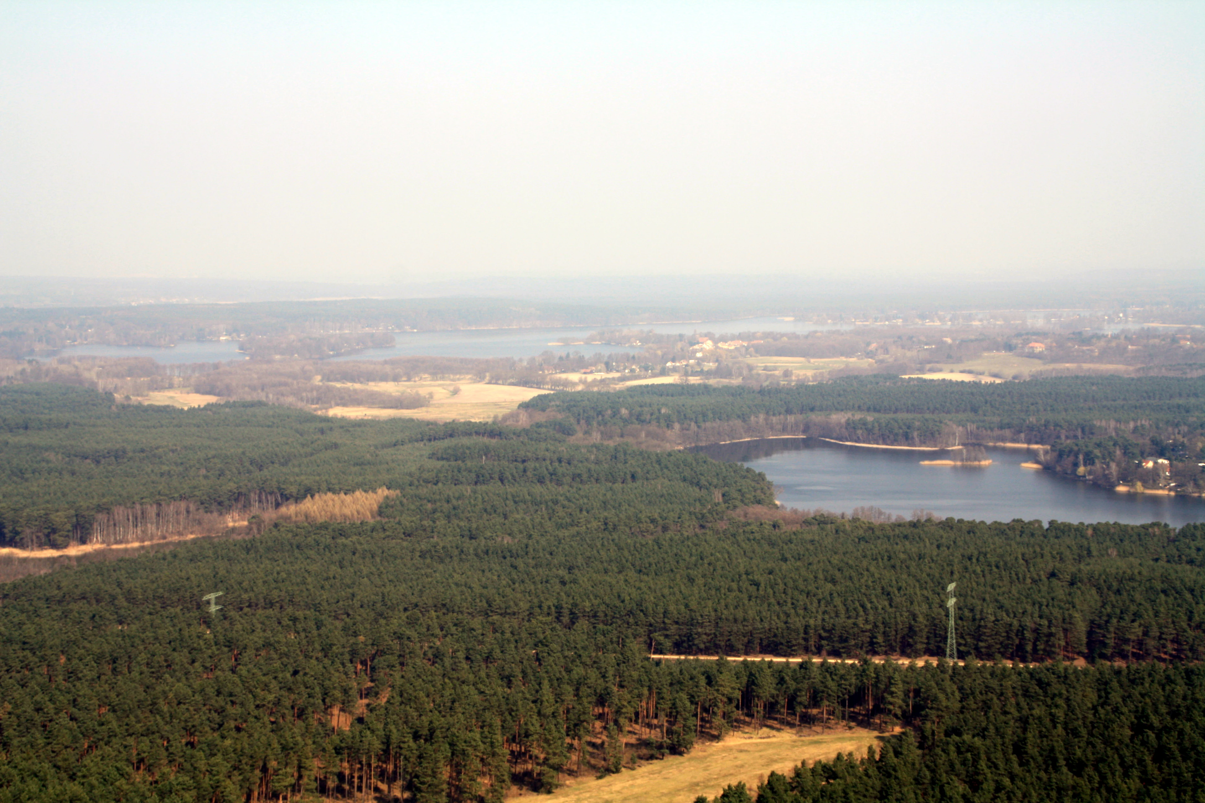 Aerial photograph showing a vast pine forest with a lake and sandy clearings under a hazy sky.