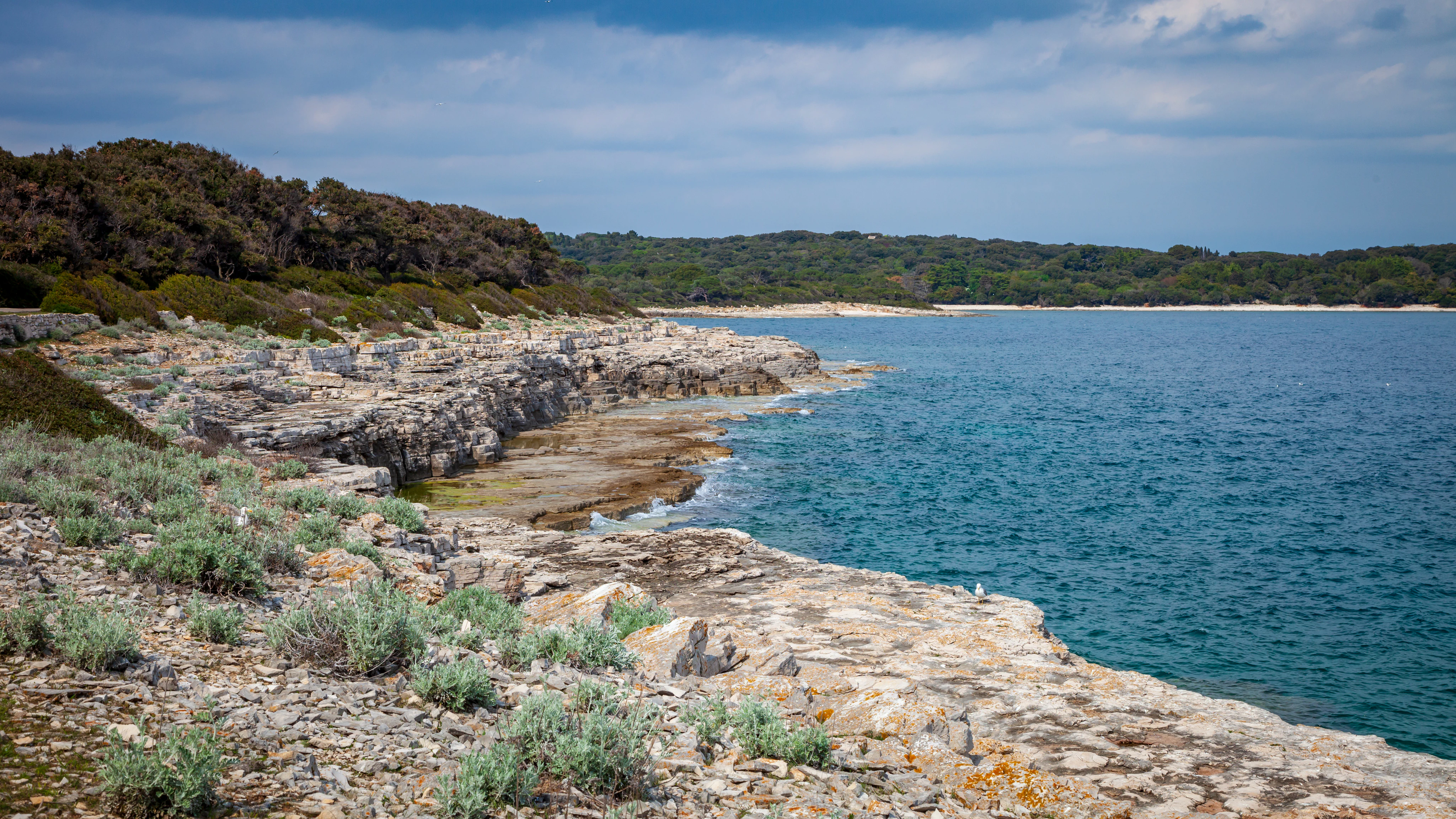 Rocky shoreline with sparse vegetation along the Adriatic Sea