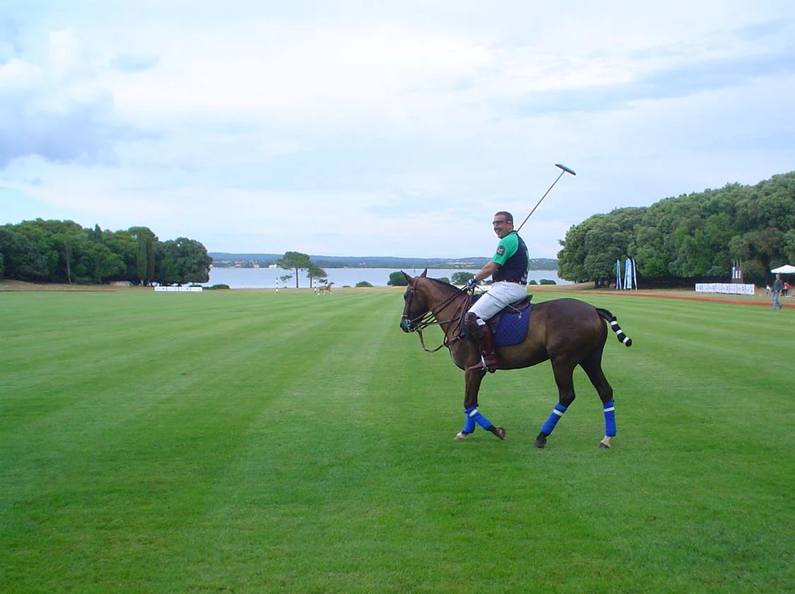 A person riding a horse with a polo mallet on a grassy field with trees and water in the background