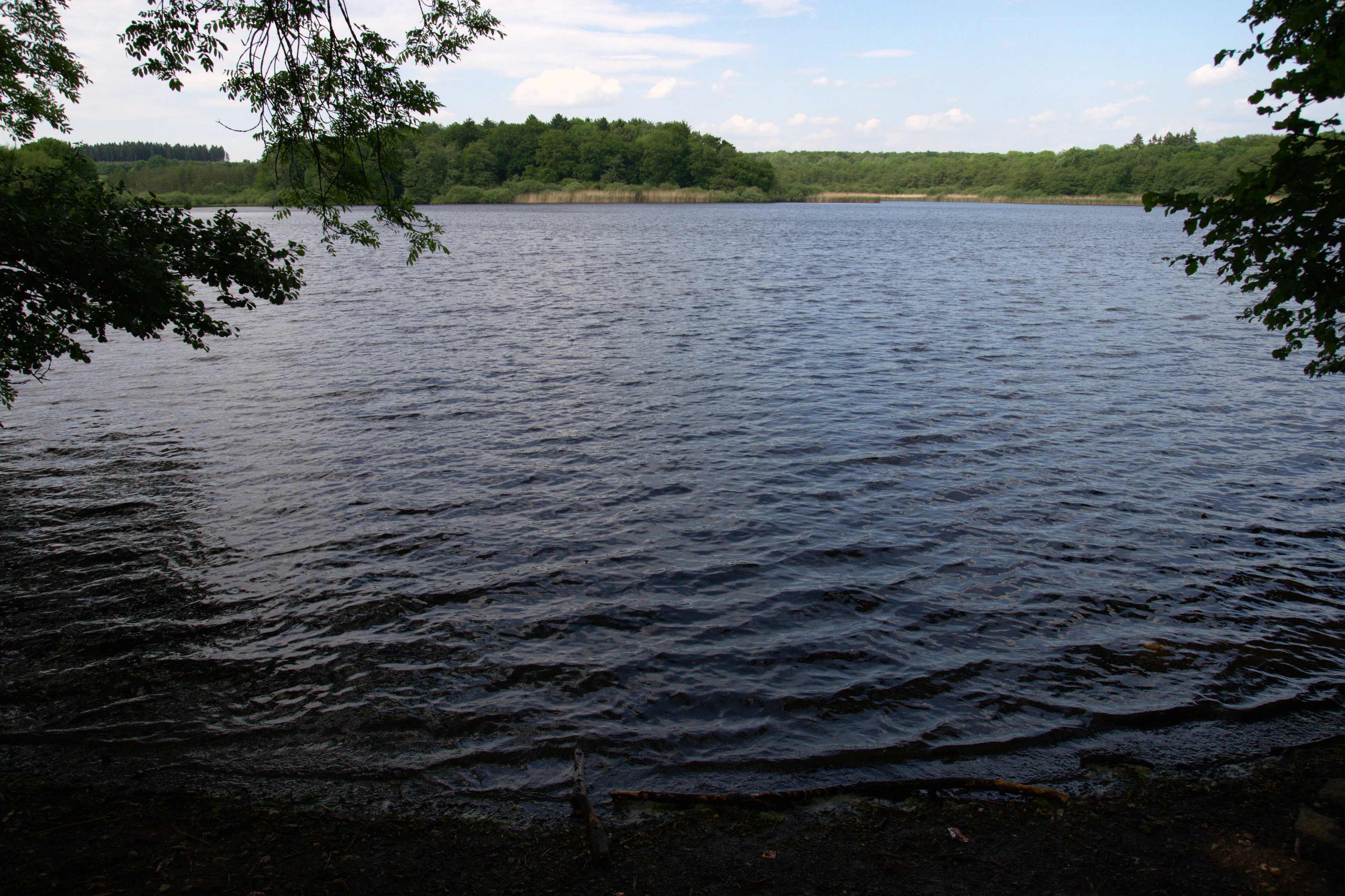 A wide view across a rippling lake surrounded by green forest under a partly cloudy sky.