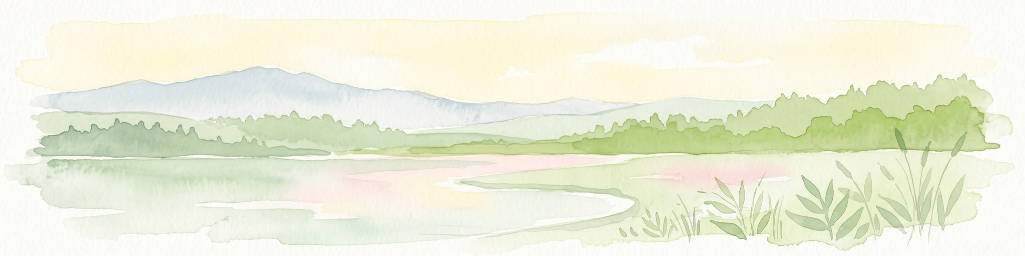 A wide watercolor illustration showing a calm lake with a forested shoreline and distant hills under a pale sky, with reeds in the foreground.
