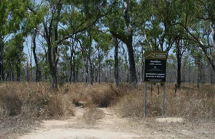 A metal information sign stands on a dirt path in a dry woodland area, identifying the location as Brooklyn Sanctuary.