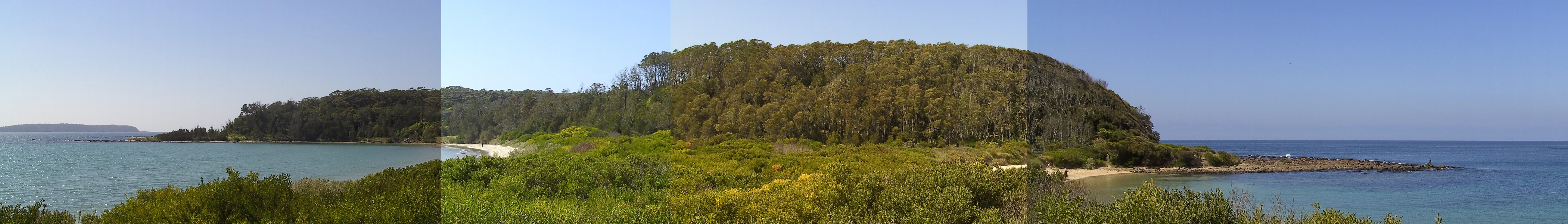 A wide panoramic view of a wooded island surrounded by blue ocean, viewed across a sandy spit and coastal vegetation on a clear day.