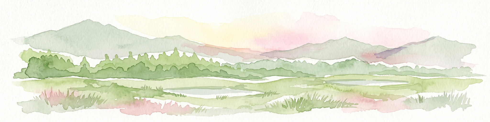 Una suave ilustración en acuarela que representa un paisaje verde y pantanoso con pequeños estanques de agua, una línea de bosque y colinas onduladas al fondo bajo un cielo pálido.
