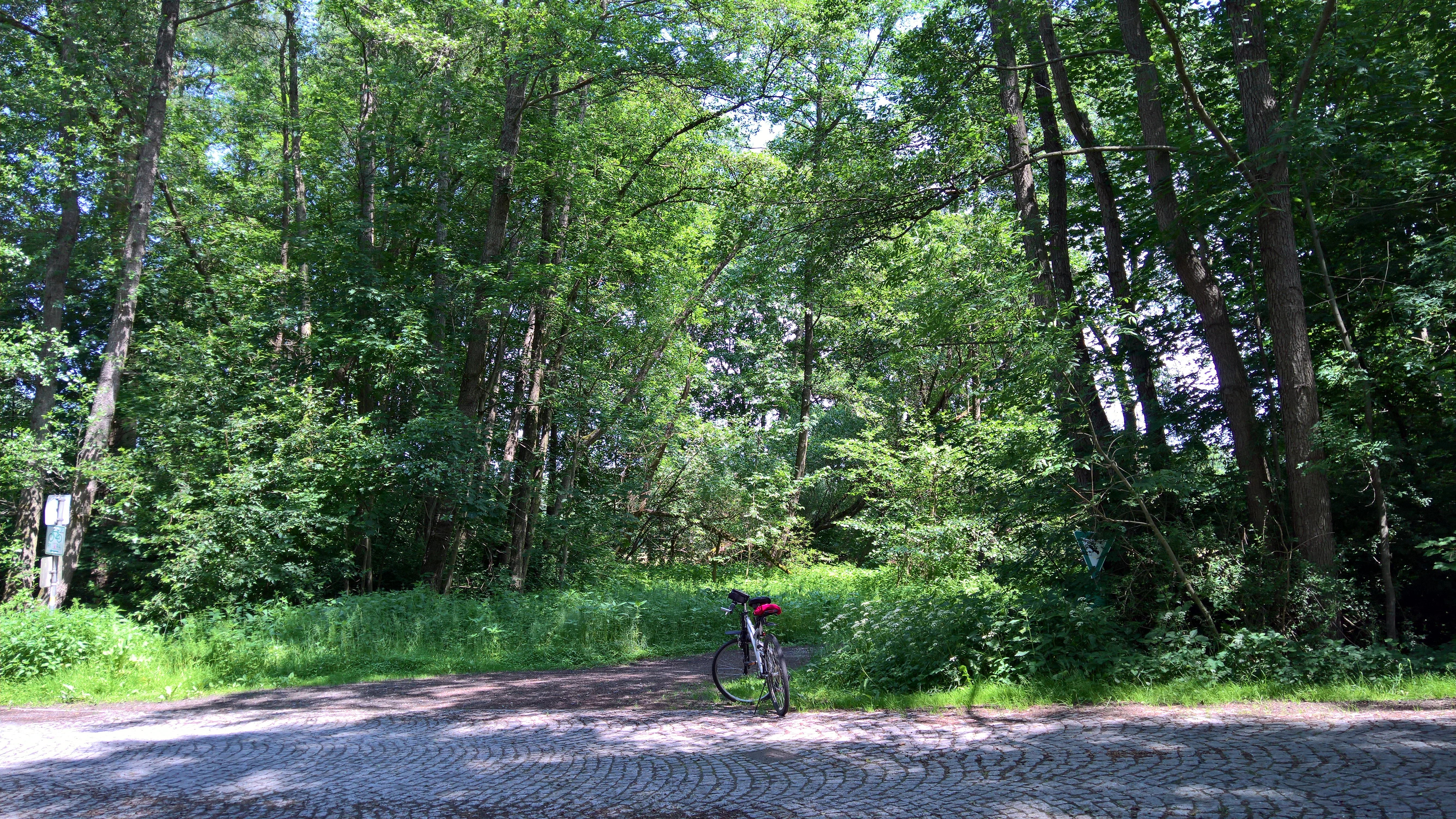 Una bicicleta está al borde de una carretera pavimentada, cerca de la entrada a un frondoso sendero forestal dentro de la reserva natural.