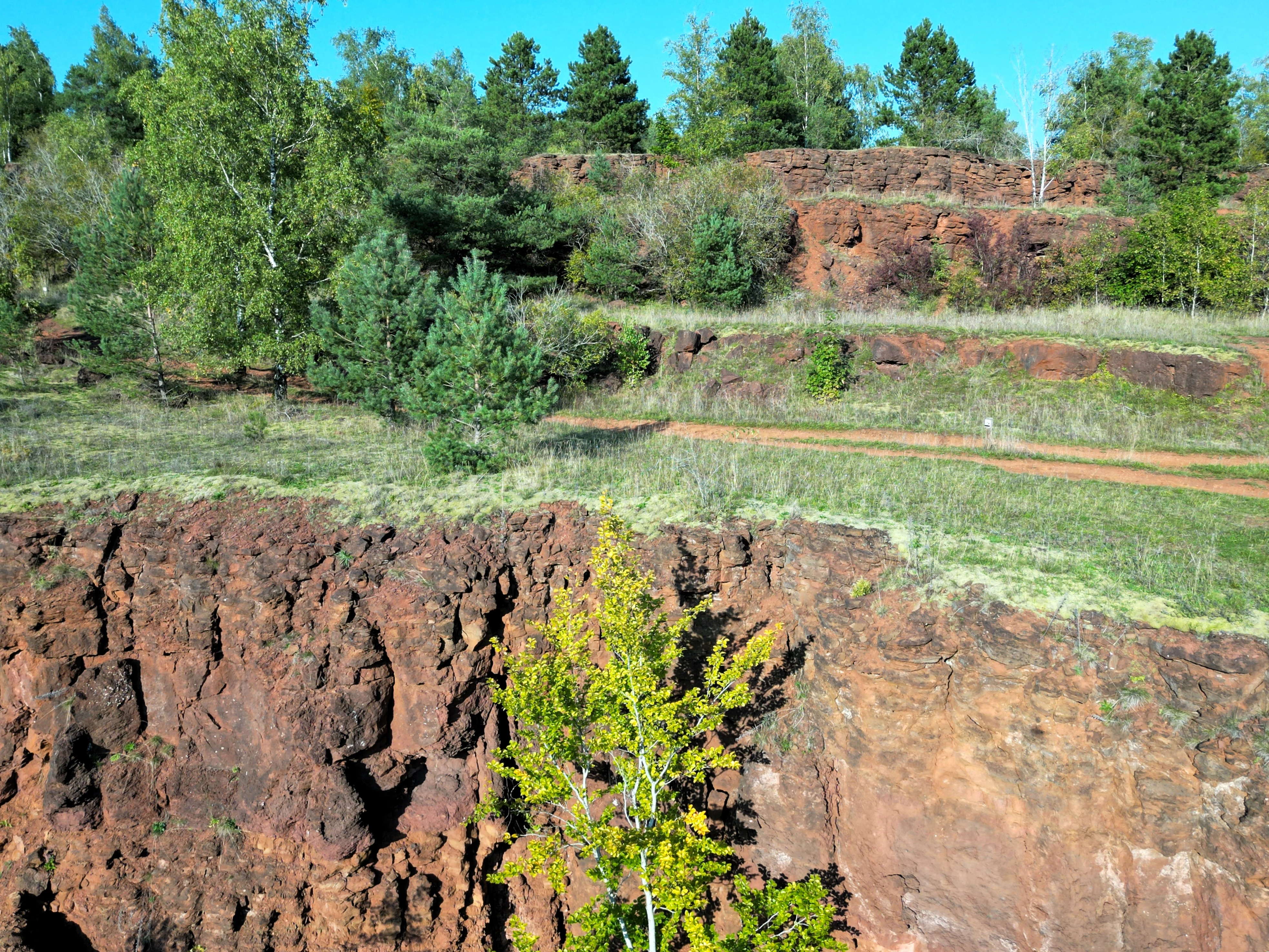 A landscape view of a former open-cast mine featuring layered, reddish-brown rock cliff faces, grassy terraces, and clusters of green trees and shrubs under a clear blue sky.