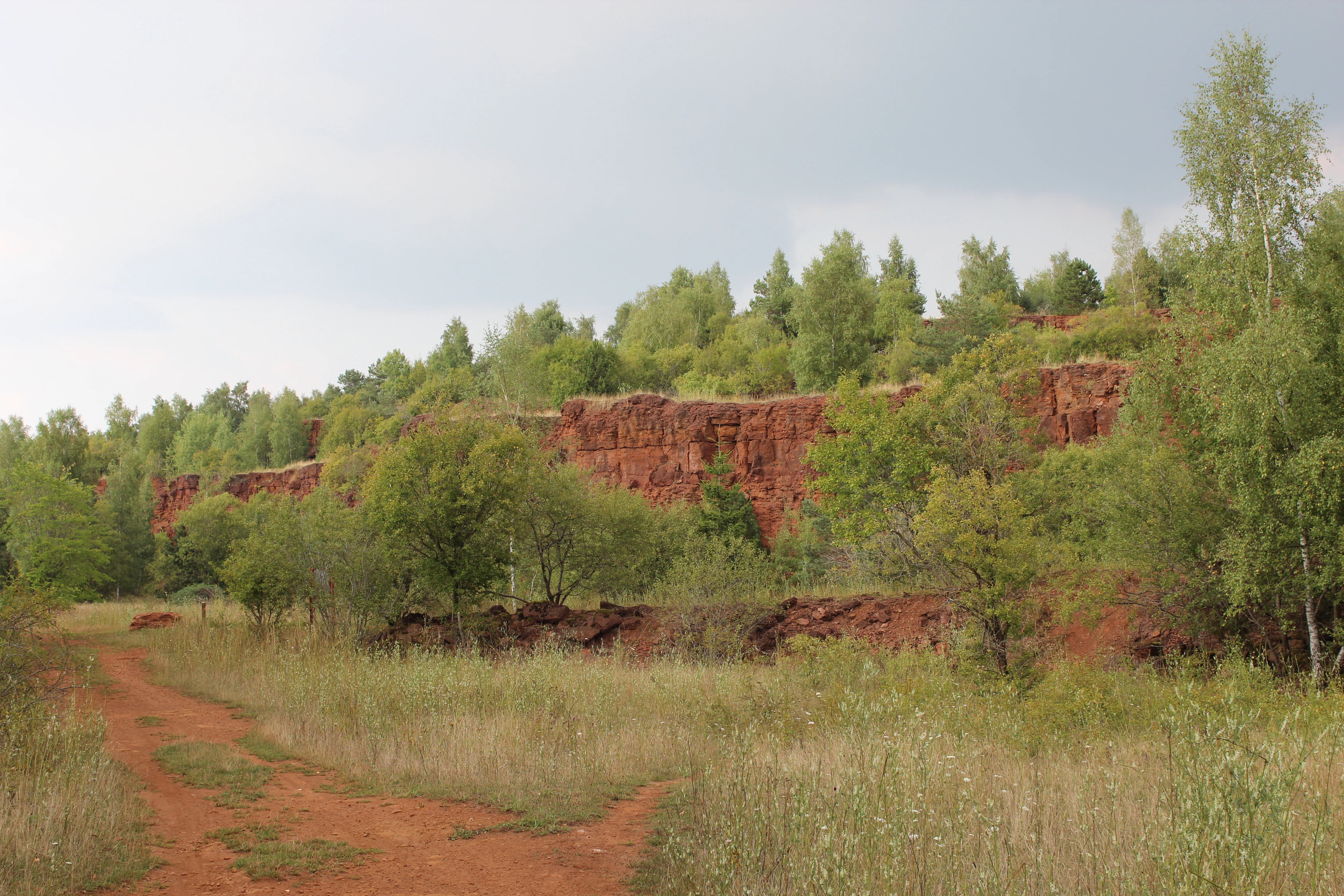 A landscape view of a nature reserve with a dirt path in the foreground, leading toward reddish exposed rock cliffs and rolling green trees.