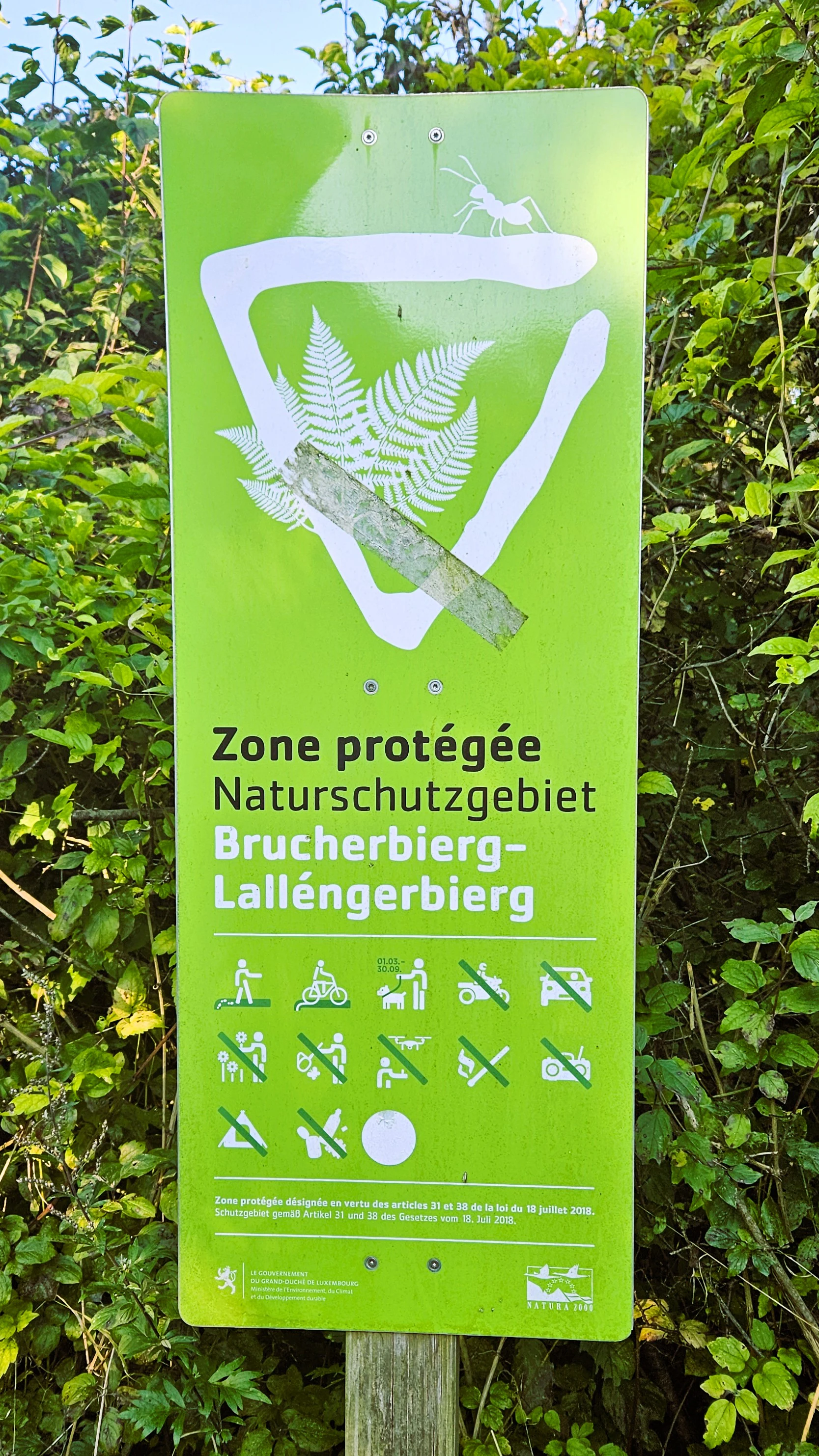 A green informational sign for the Brucherbierg-Lallengerbierg nature reserve, featuring text in French and German, a stylized logo with a fern and insect, and various pictograms indicating allowed and prohibited activities.