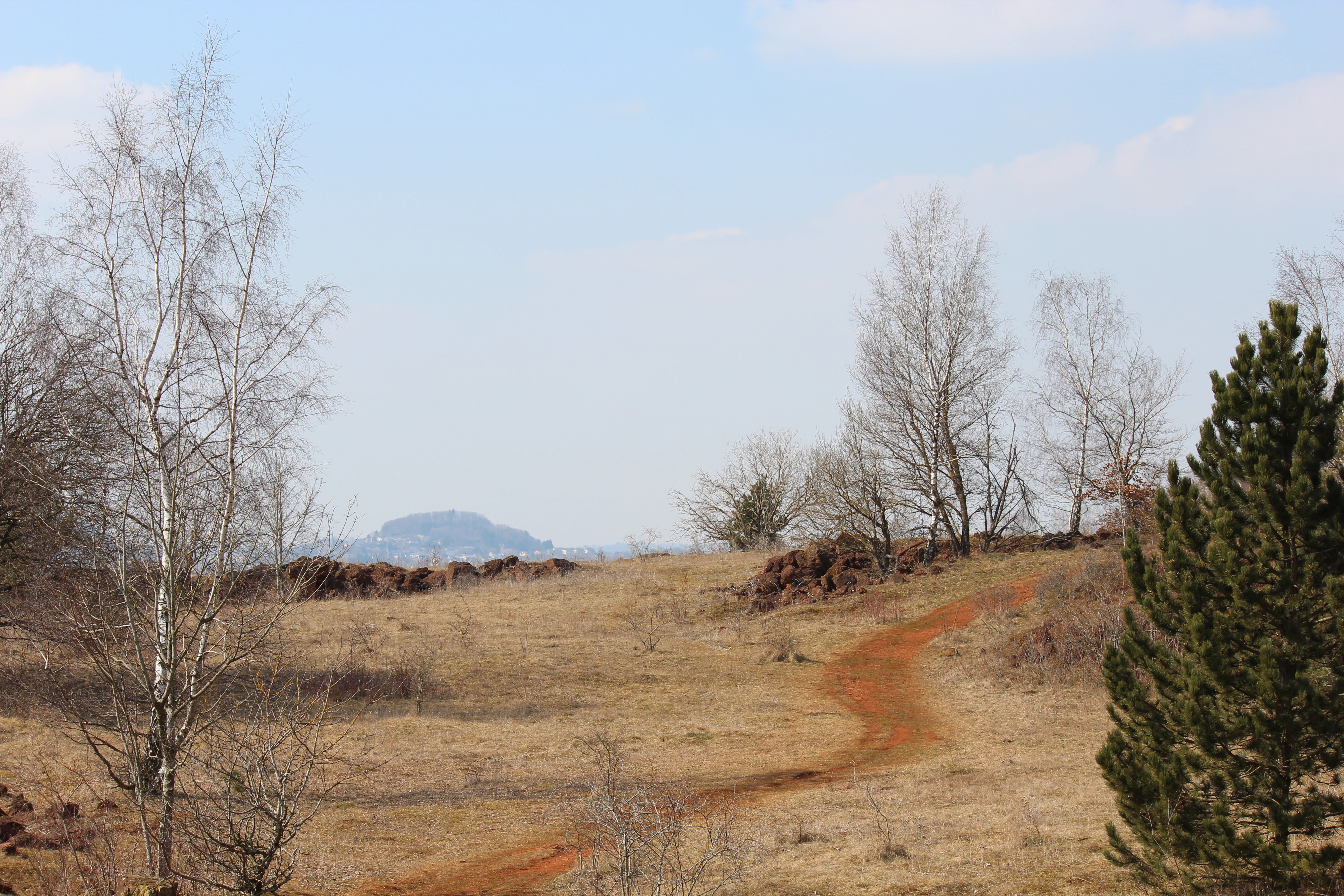 A winding red dirt path cuts through dry, sparse grassland with scattered leafless trees and a distant hill on the horizon under a pale blue sky.