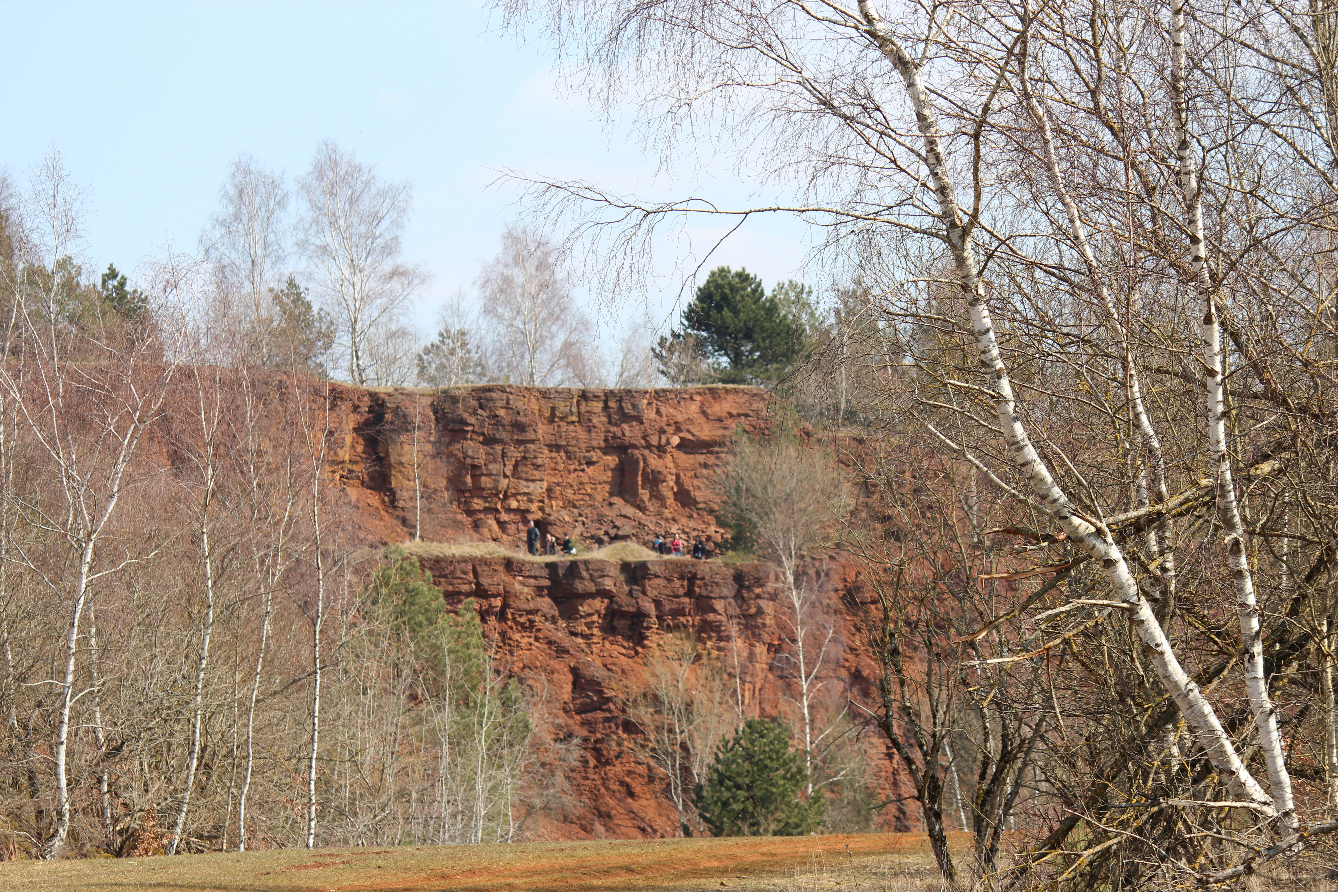 A steep red-brown rock cliff from a former mining operation rising behind leafless birch trees and sparse vegetation.