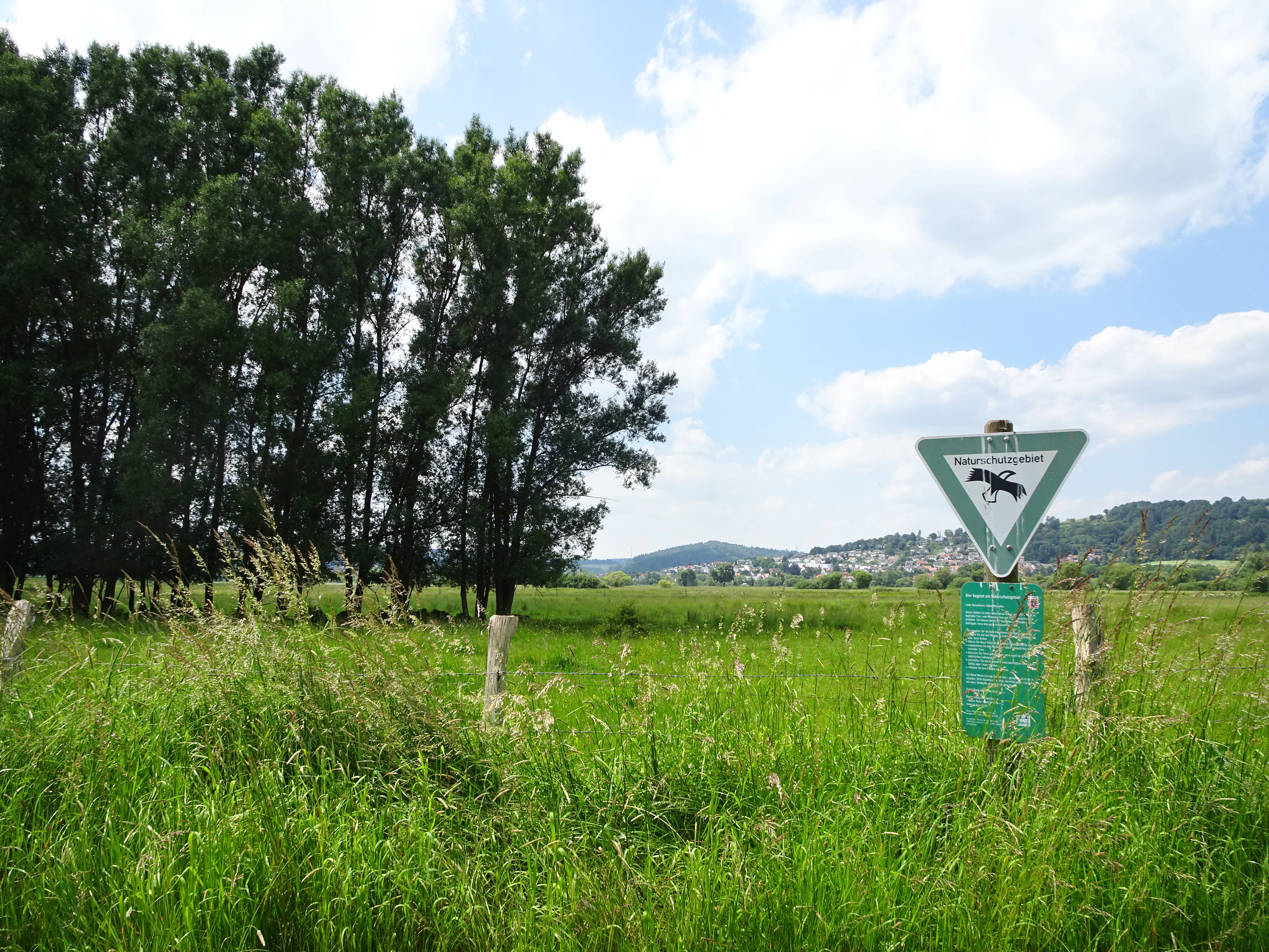 A triangular green German nature reserve sign stands in a grassy meadow, with a line of tall trees to the left and hills in the distance.