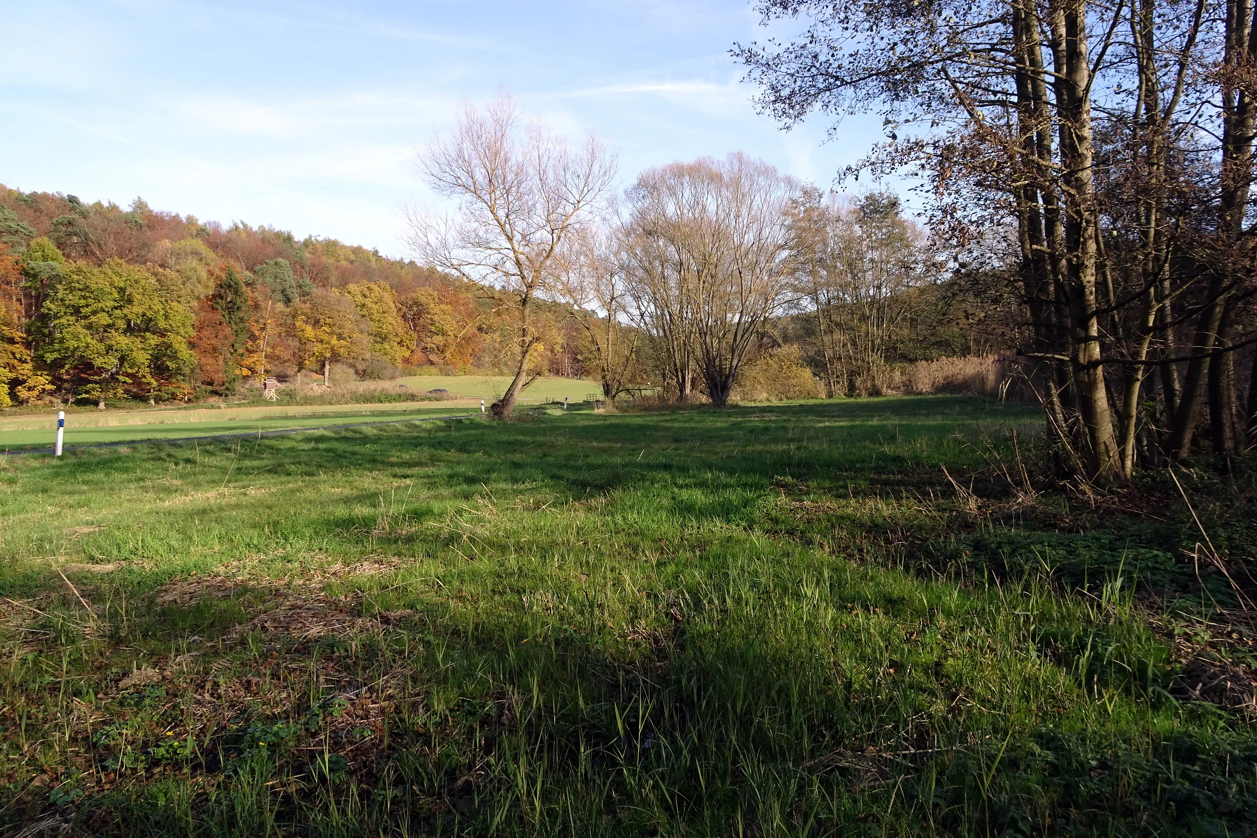 A green meadow stretches toward a backdrop of autumn-colored trees and a forested hillside under a clear sky.