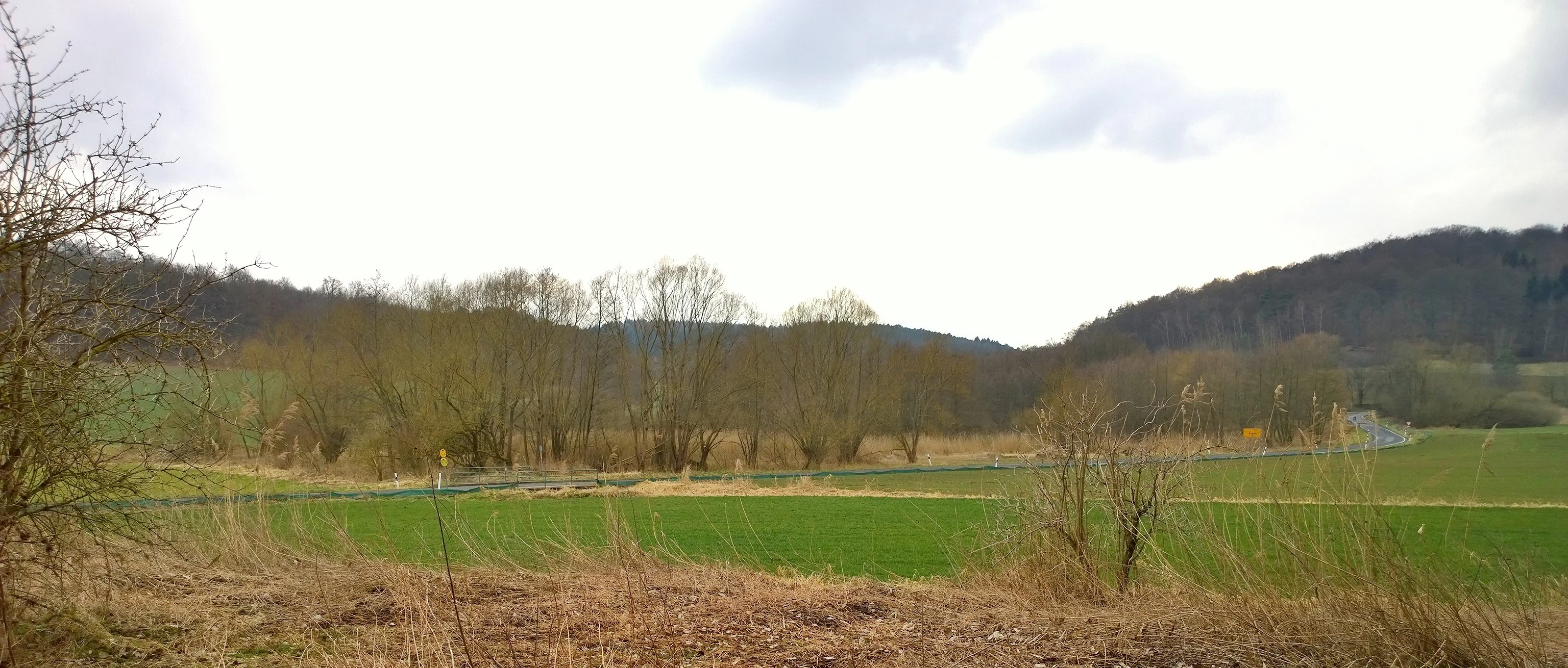 A wide, eye-level view of a rural landscape with green fields in the foreground, a line of trees in the midground, and rolling, forested hills in the background under an overcast sky.