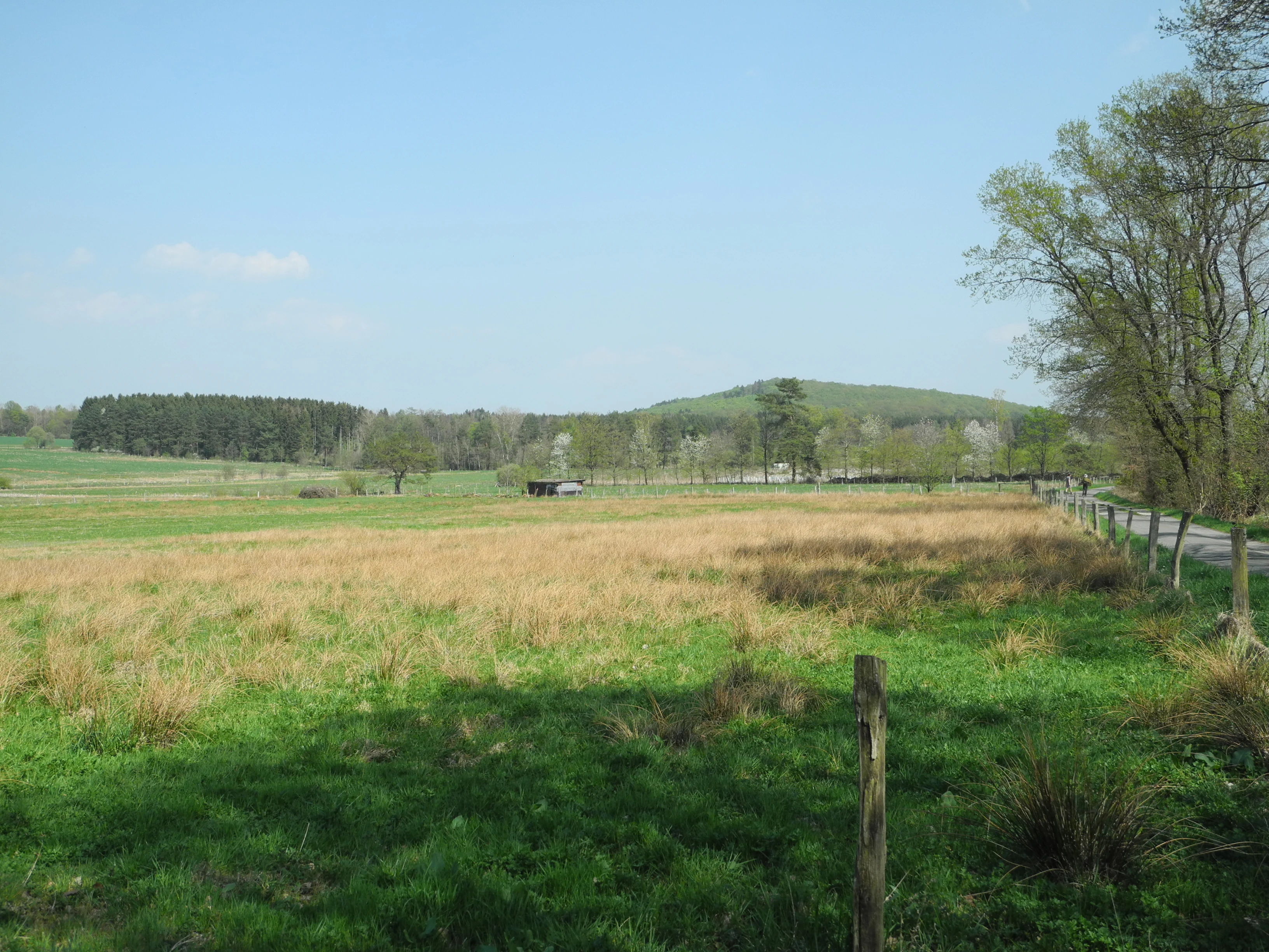 Wide view of open meadows with green and dry grass, scattered trees, and distant low hills under a clear blue sky in Brühl von Erda.