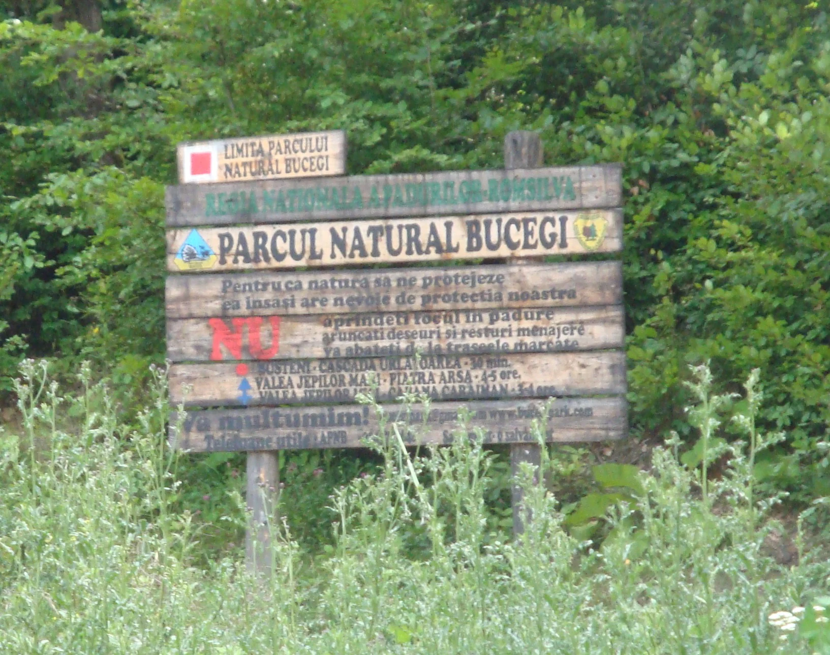Wooden sign with text 'Parcul Natural Bucegi' in Romanian, mounted on posts with green vegetation in background