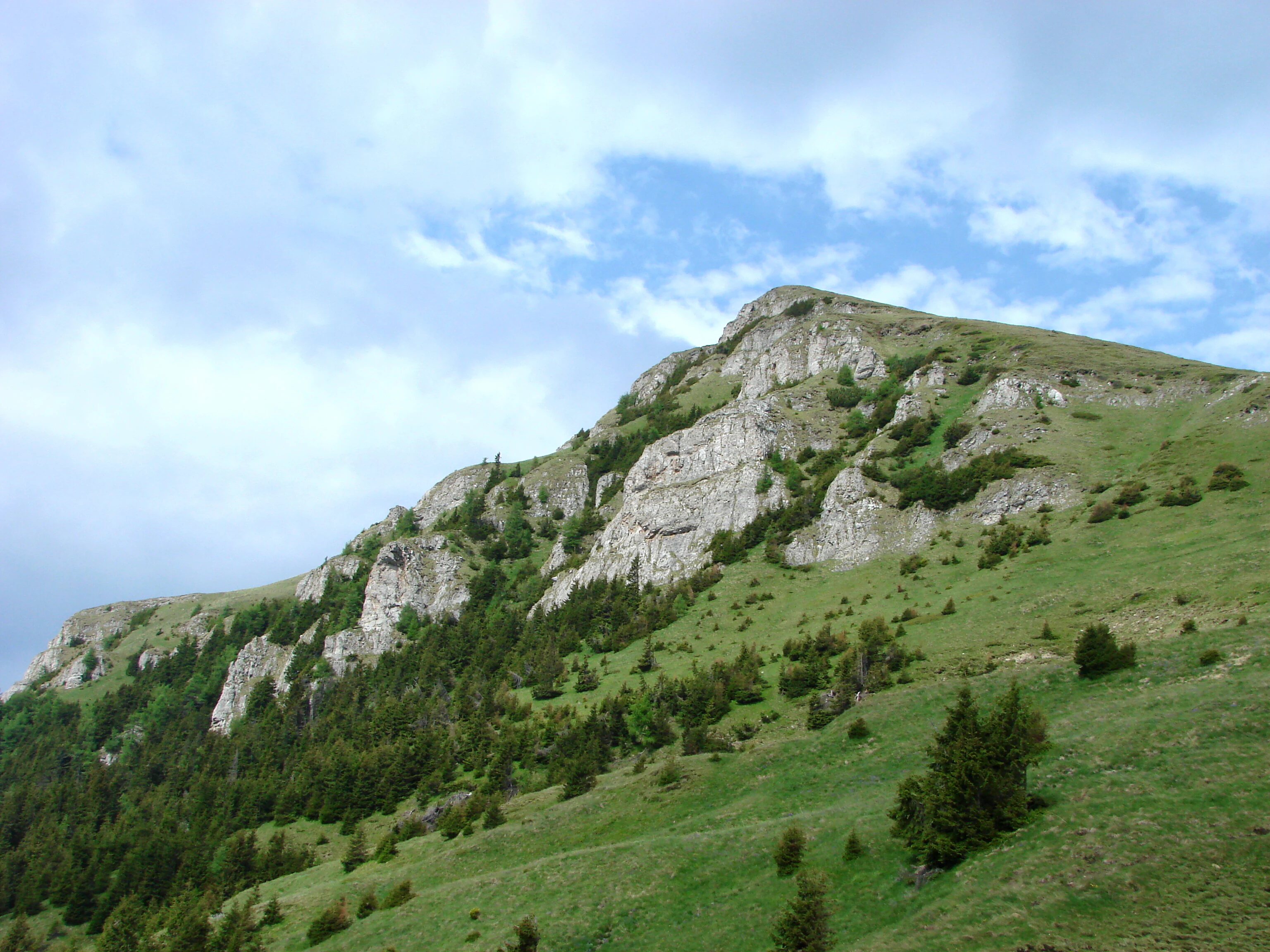 Rocky mountain peak with green meadows and forested slopes under a partly cloudy sky