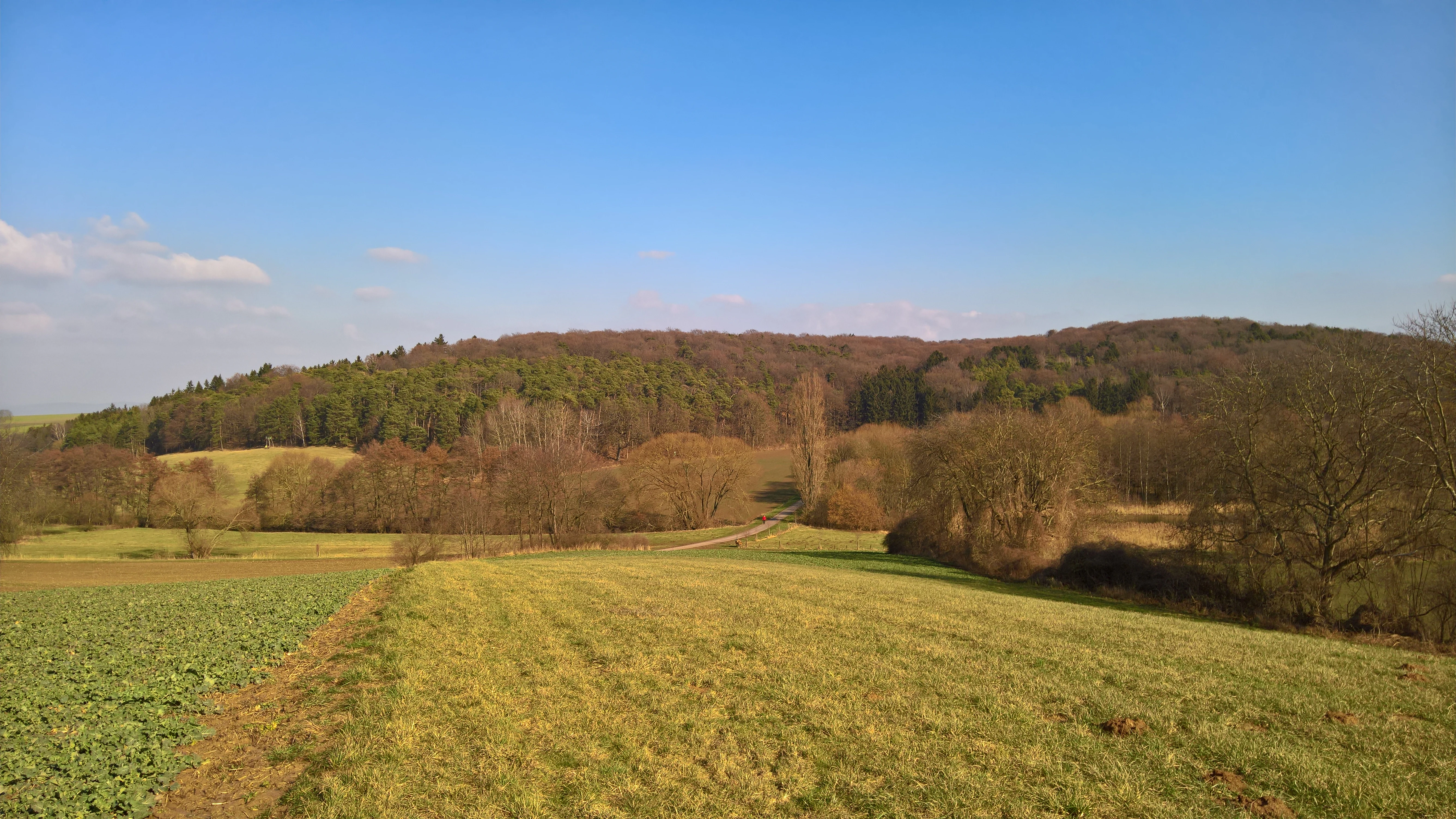 A rural landscape featuring a foreground of grassy meadows and agricultural fields, transitioning to dense, hilly deciduous forest under a clear blue sky.