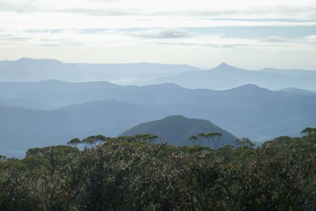 Cadenas montañosas distantes con picos en capas bajo un cielo parcialmente nublado, primer plano de densa vegetación forestal.