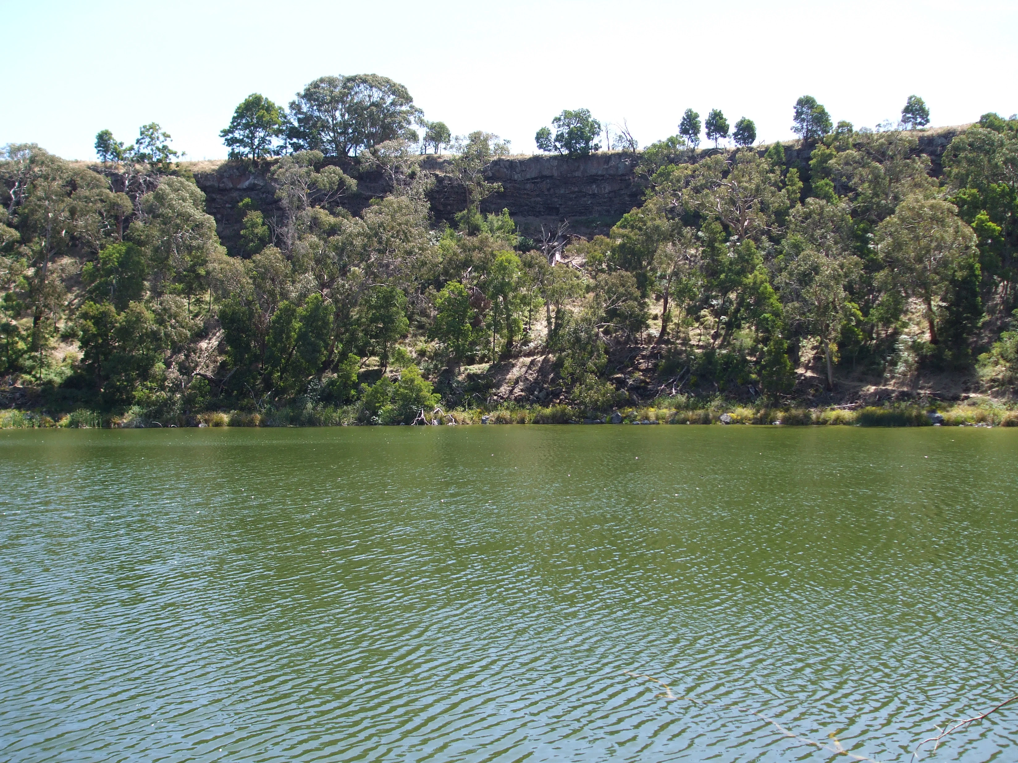 A calm, green crater lake bordered by a steep, rocky cliff topped with native Australian eucalyptus trees.