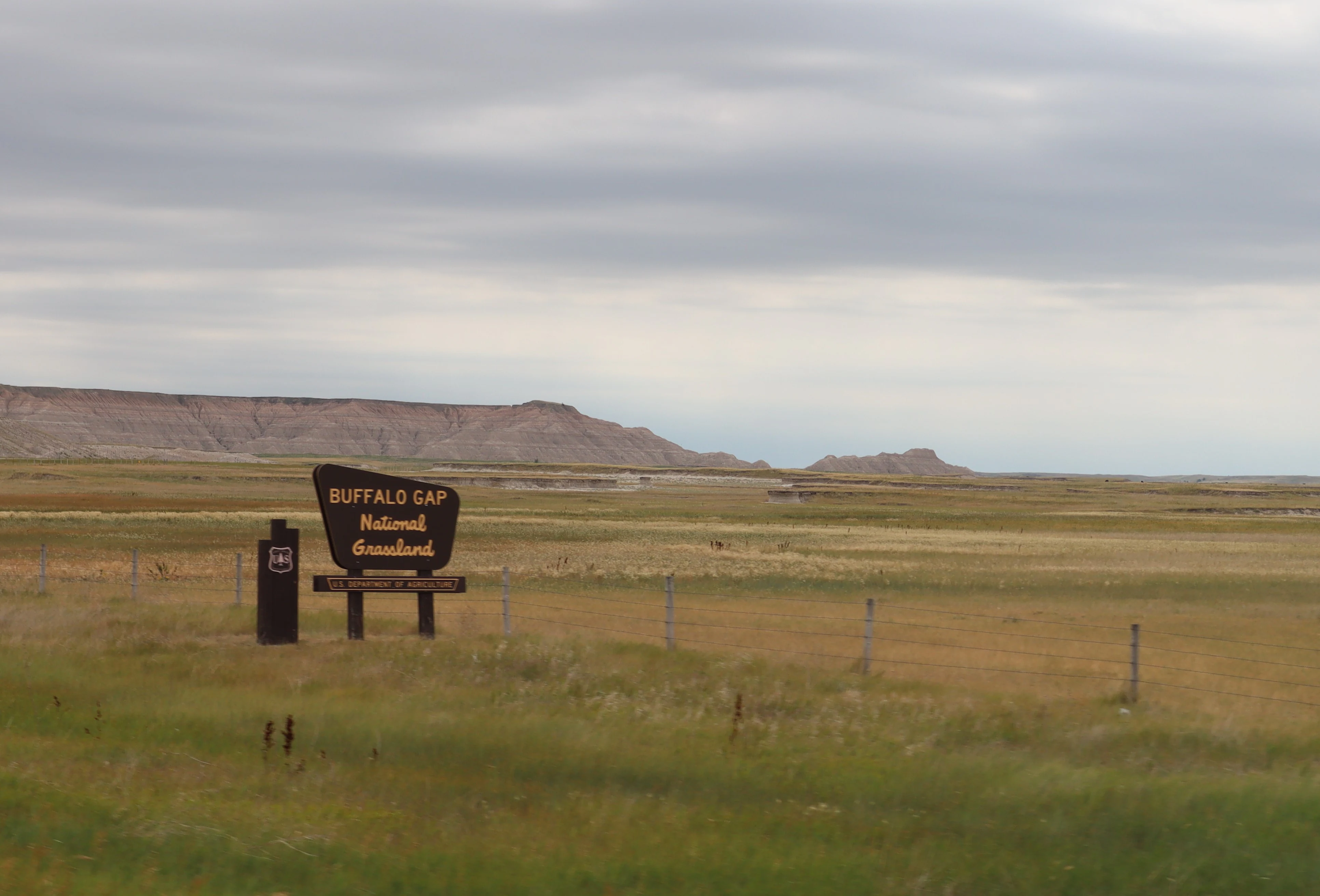 An official, dark, shield-shaped entrance sign for Buffalo Gap National Grassland stands on a grassy prairie with low-lying bluffs in the background under a cloudy sky.