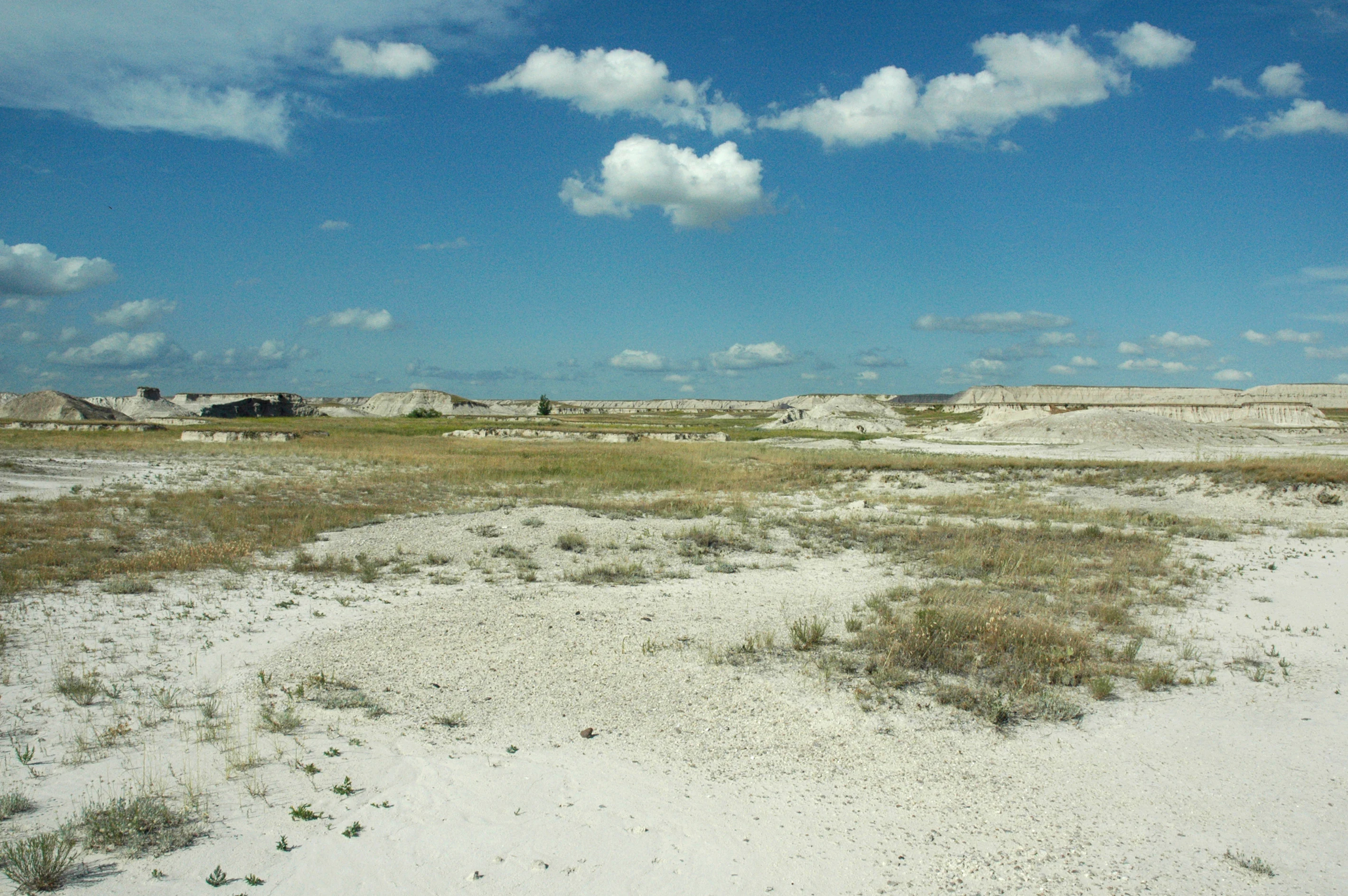 A wide, flat landscape in Buffalo Gap National Grassland featuring white chalky soil, patches of dry grass, and eroded badlands formations in the distance under a blue sky with scattered clouds.