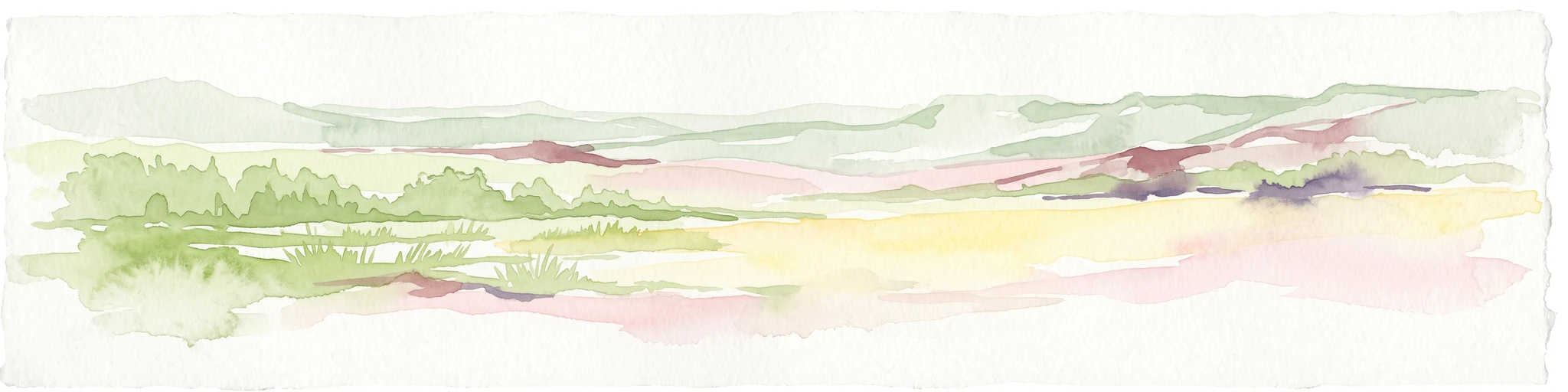 A pale, minimalist watercolor illustration of a wide, open grassy landscape with soft rolling hills in the background and light green vegetation in the foreground.