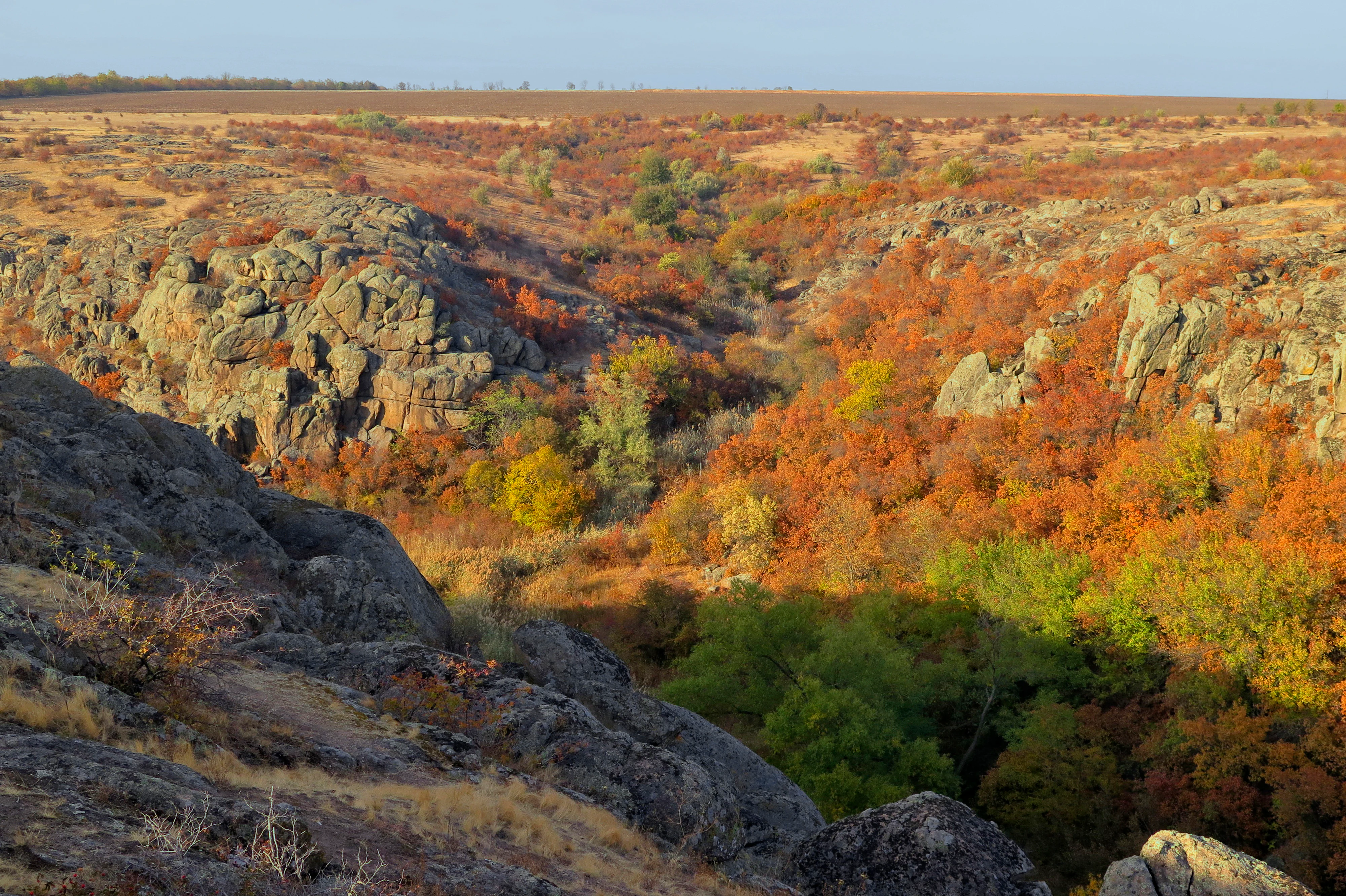 Rocky canyon landscape with autumn-colored trees and vegetation