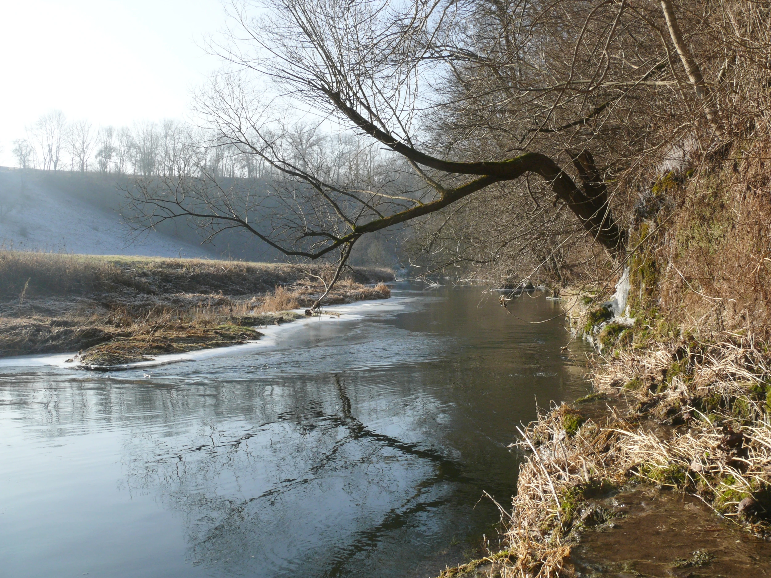A calm, narrow river winds through a rural valley with bare trees and frosted grassy banks during winter.
