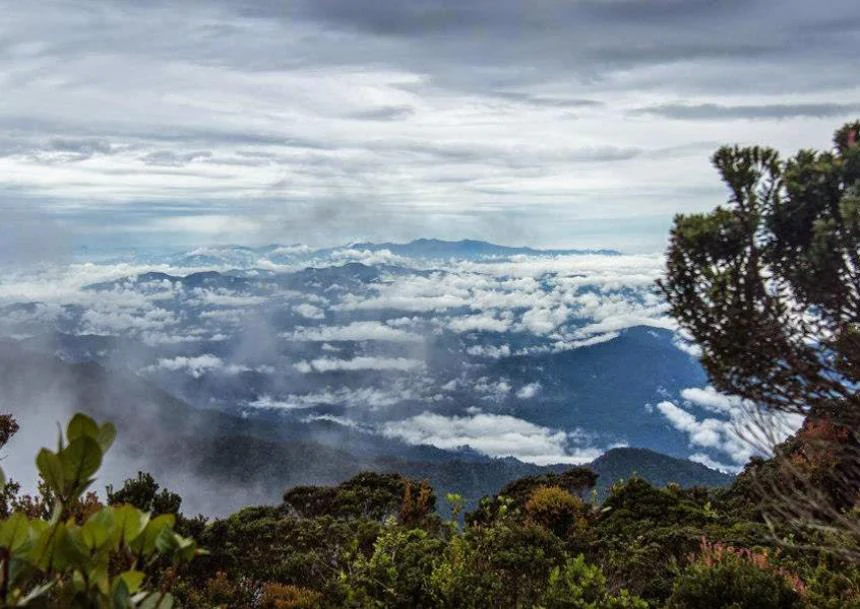 Panoramic landscape showing mountain peaks above clouds with green vegetation in the foreground