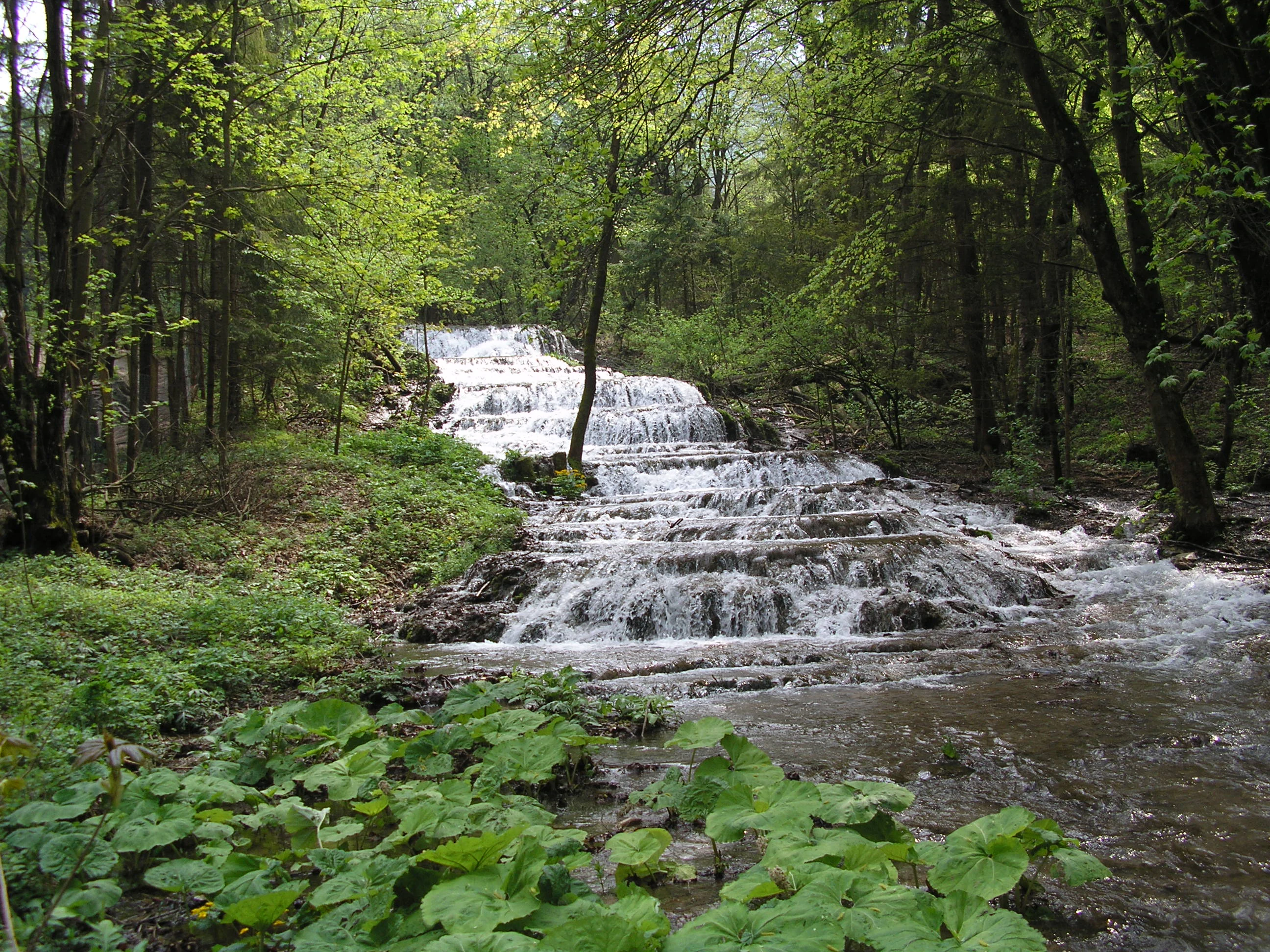 Multi-tiered waterfall flowing through a forested area with green vegetation in the foreground and trees surrounding the water