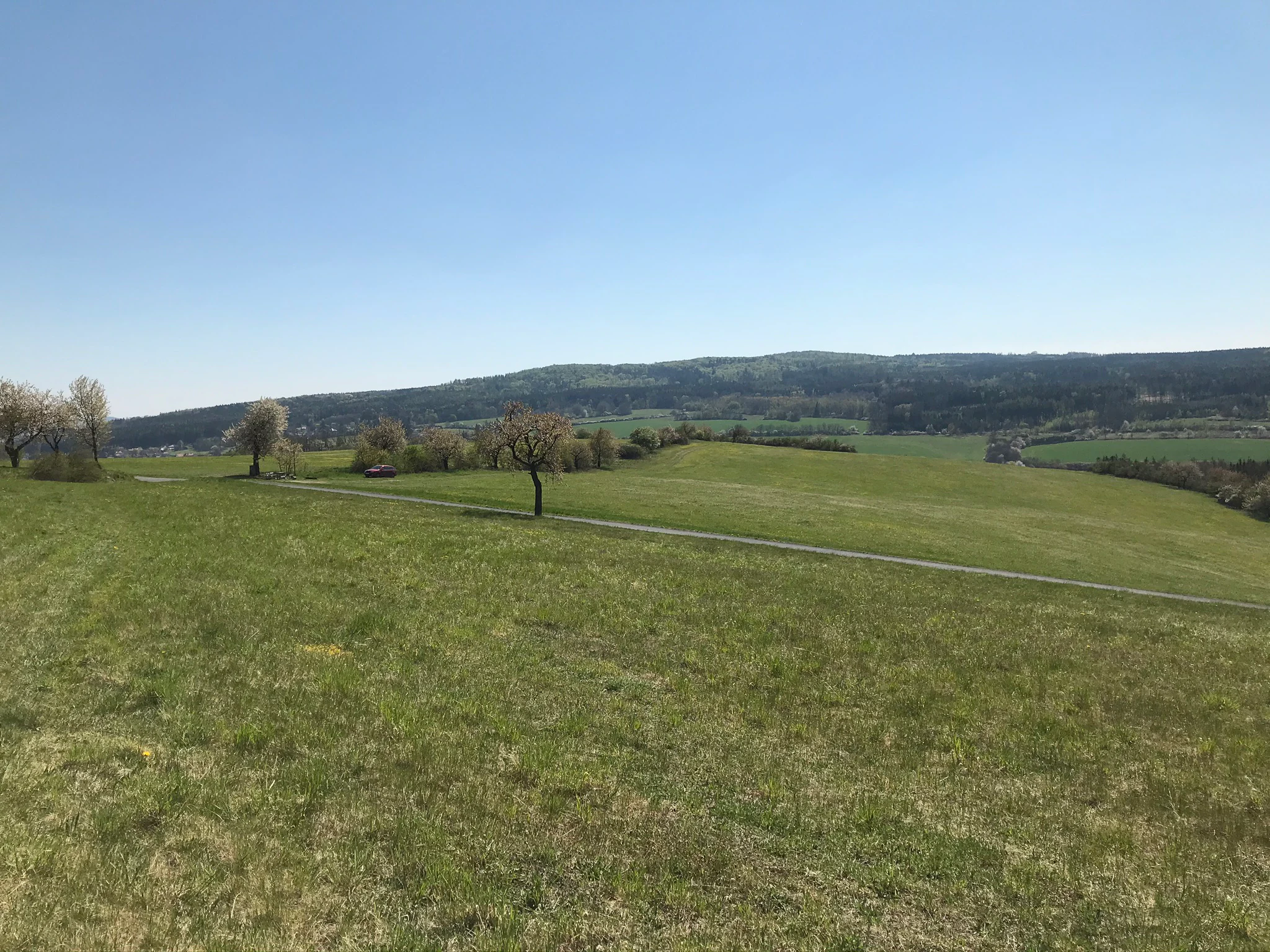 A wide view of a grassy meadow in the foreground leading to a rolling, forested mountain ridge under a clear blue sky.