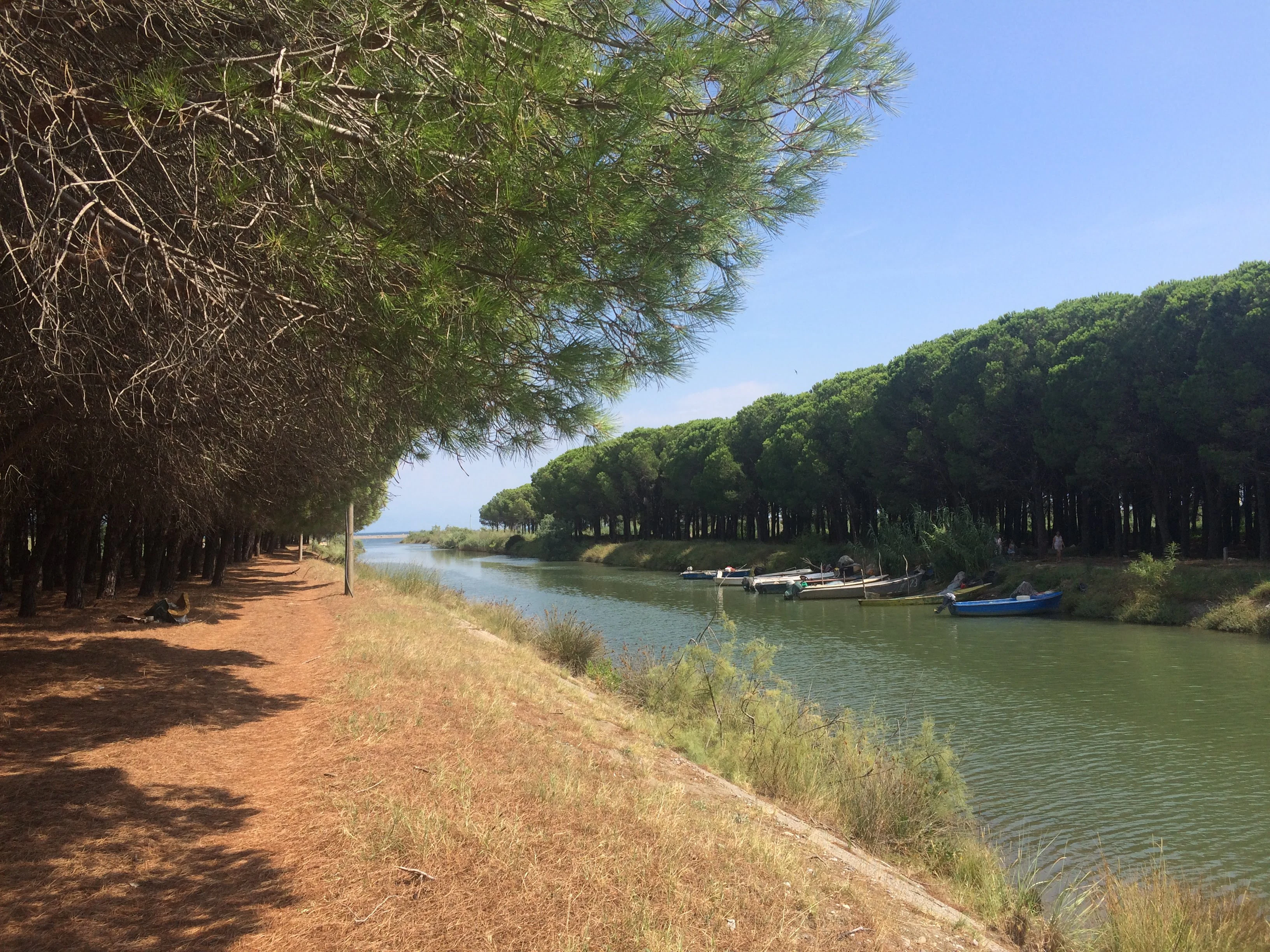 A calm, narrow canal or lagoon stretches into the distance, bordered by a dirt path and a dense line of pine trees, with several small fishing boats moored along the bank.