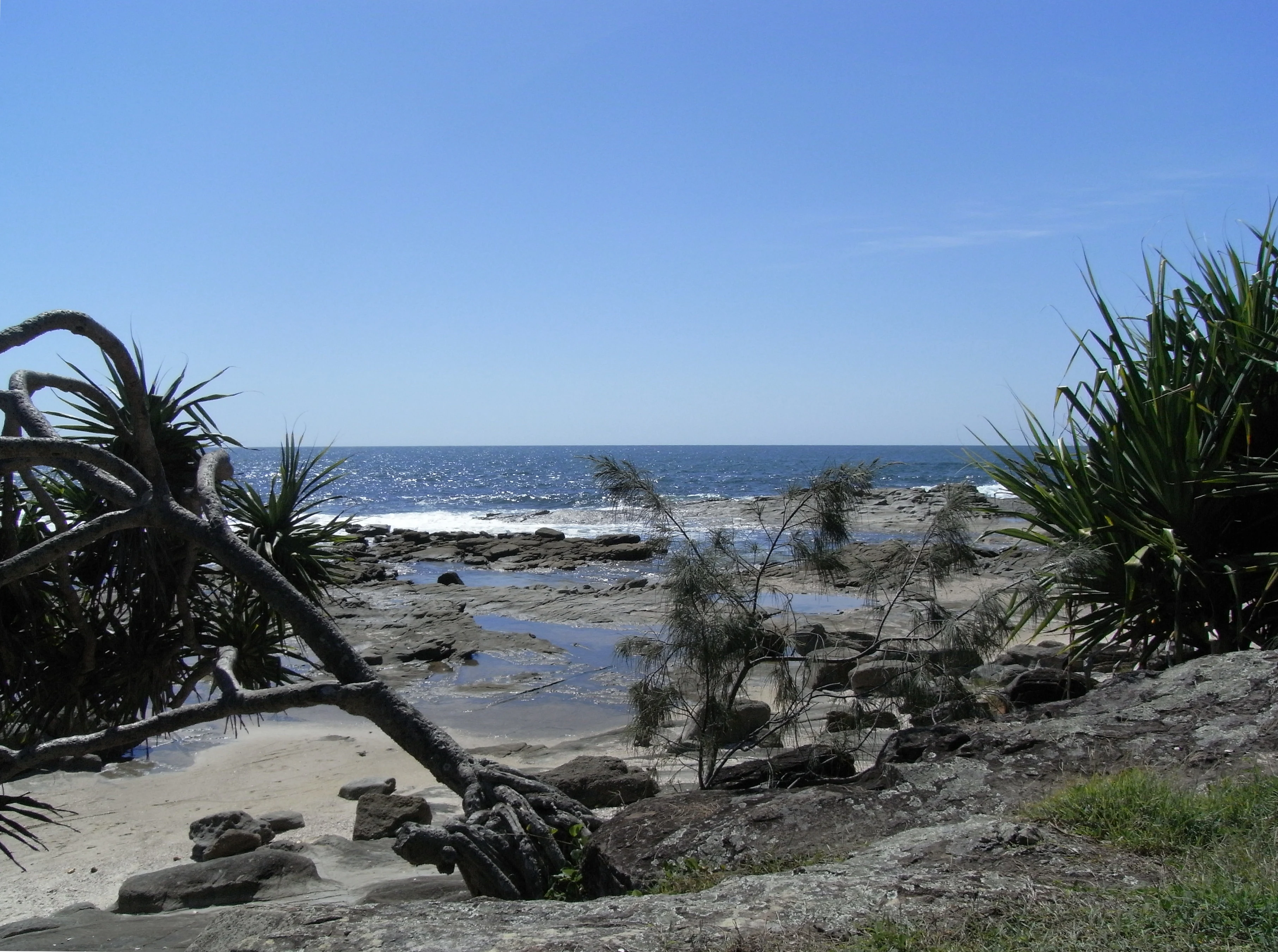 Rocky shoreline with scattered vegetation and ocean view under clear blue sky