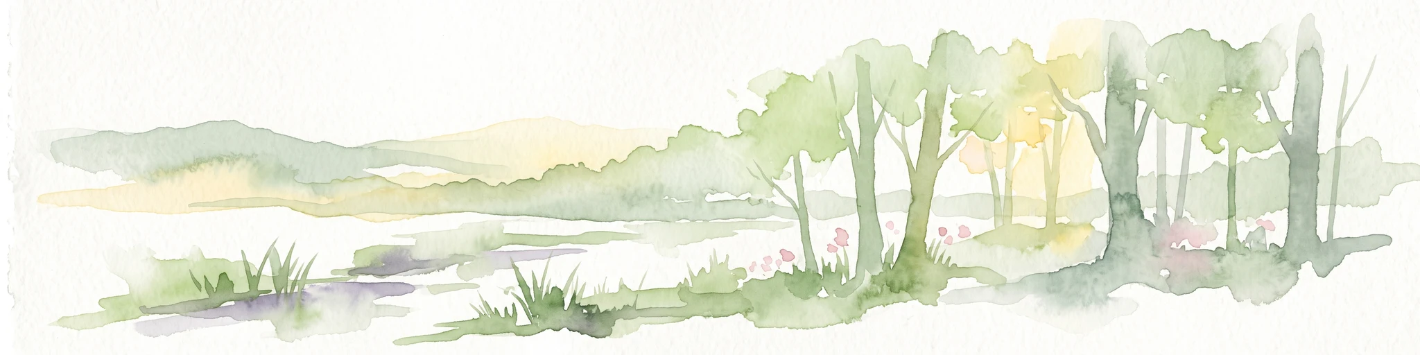 A soft watercolor painting depicting a serene floodplain forest with trees, grasses, and a winding stream, rendered in light green and muted tones.