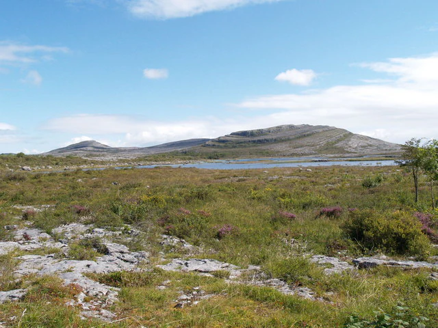 Karst landscape with rocky outcrops, grassy plains, and distant hills under a partly cloudy sky.