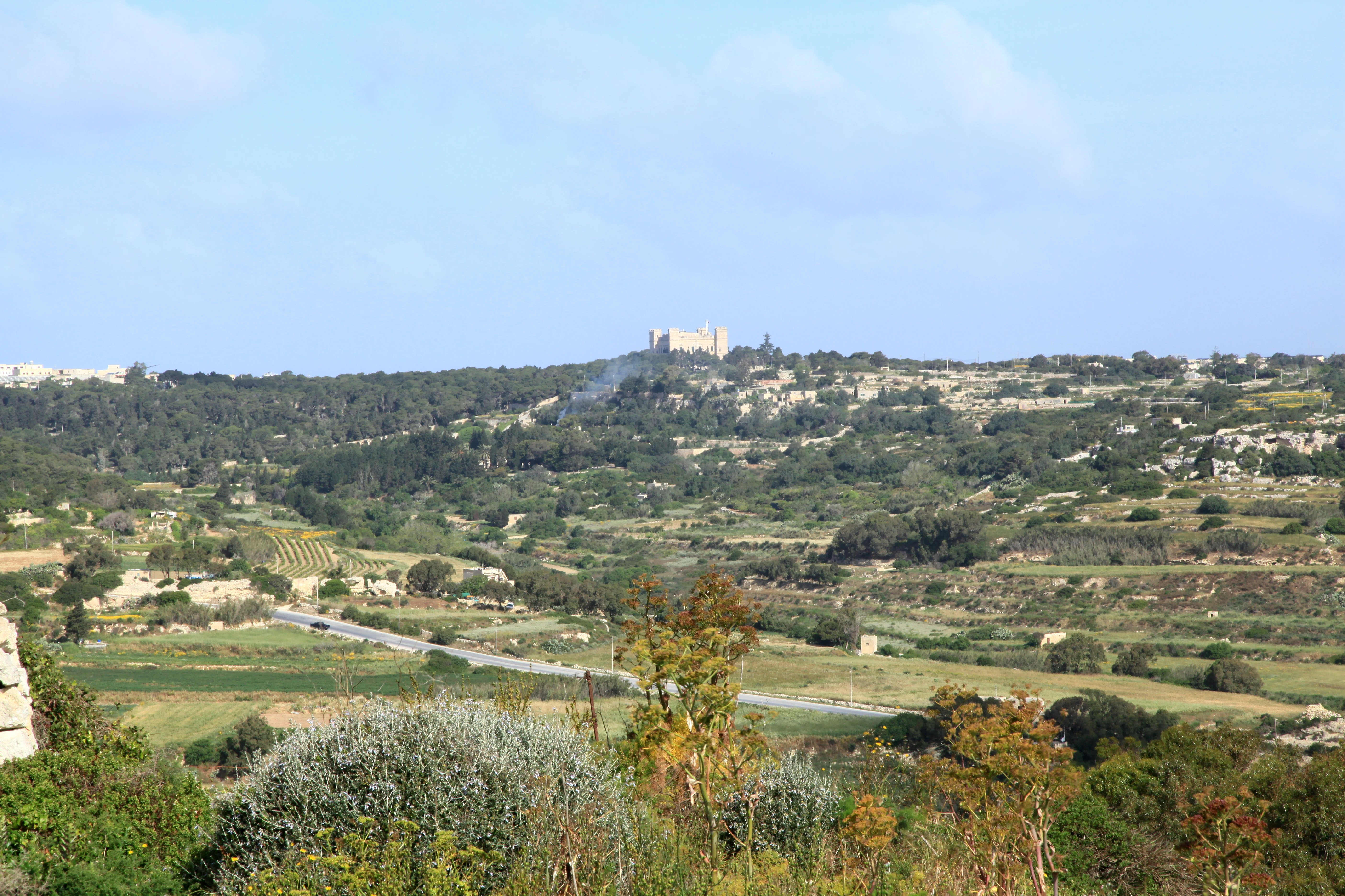 A distant shot showing a lush green valley with scattered trees and a prominent historic palace building perched on a distant hilltop.